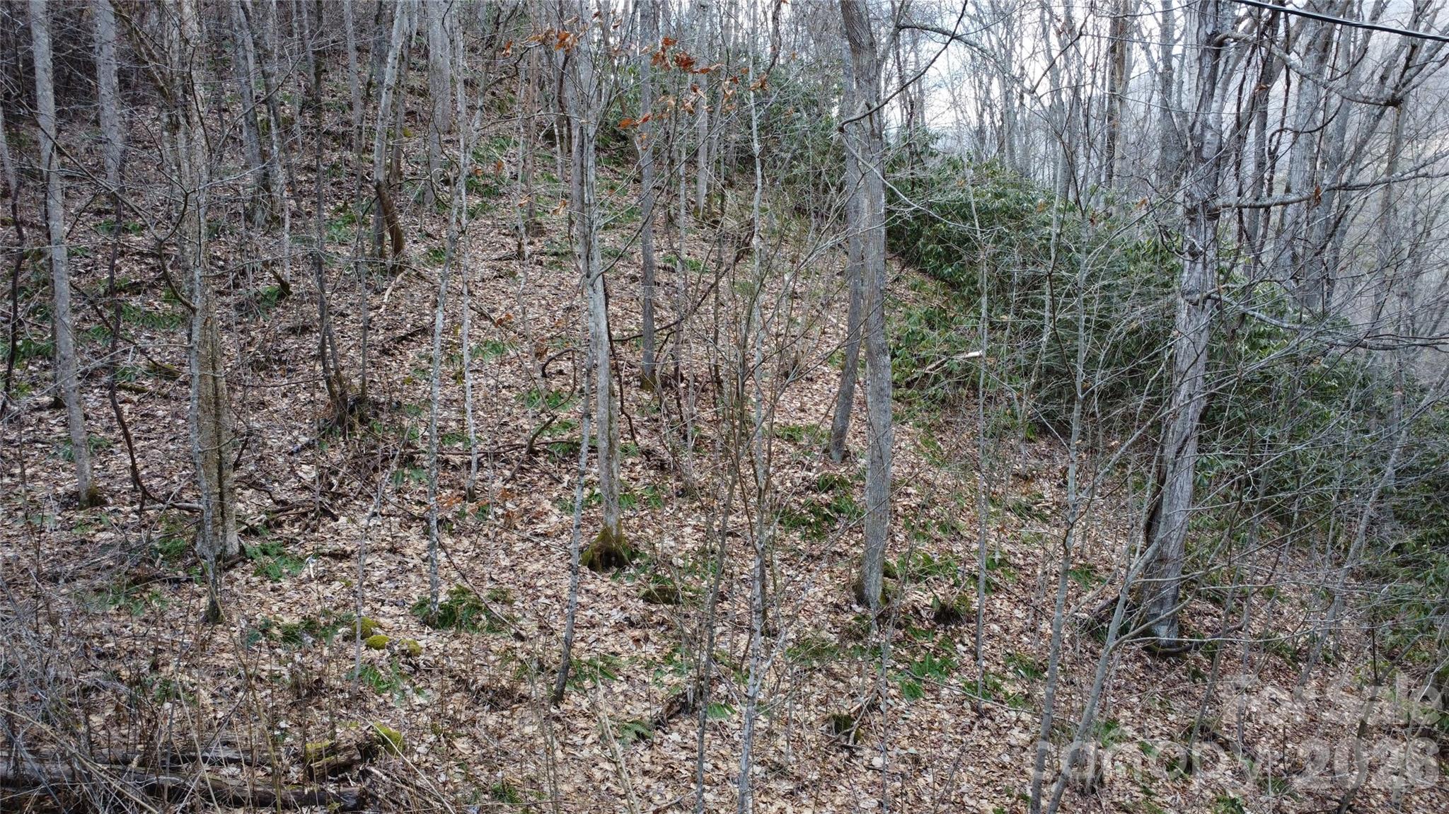 24 Village Lane Property Photo 13