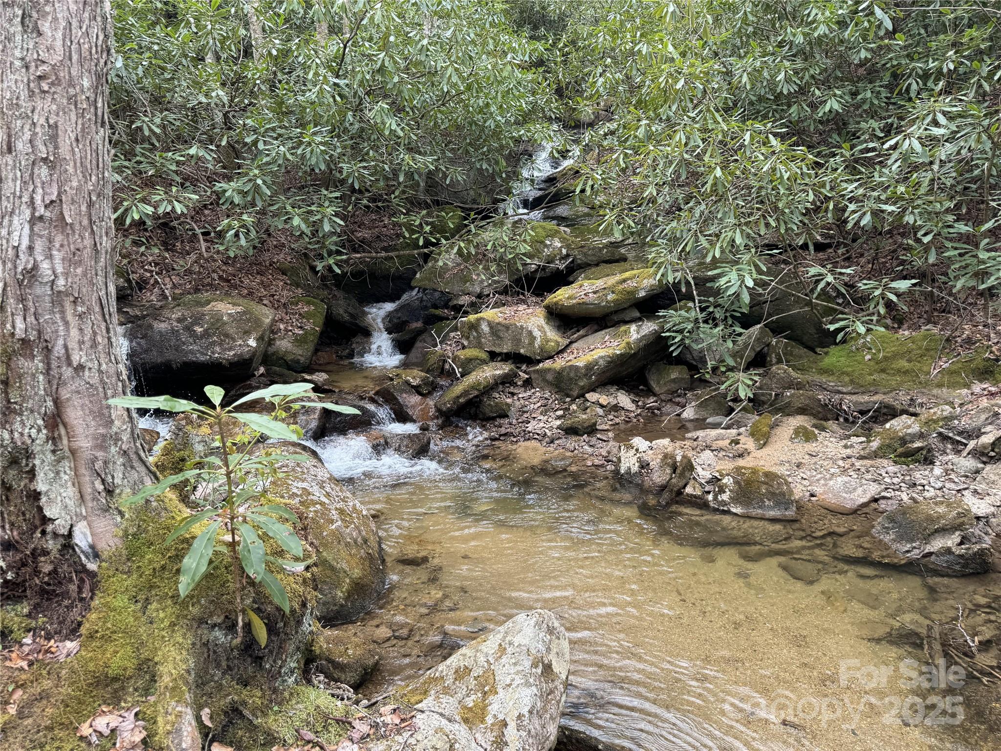62 +/- Acres Buckeye Ridge Road Property Photo