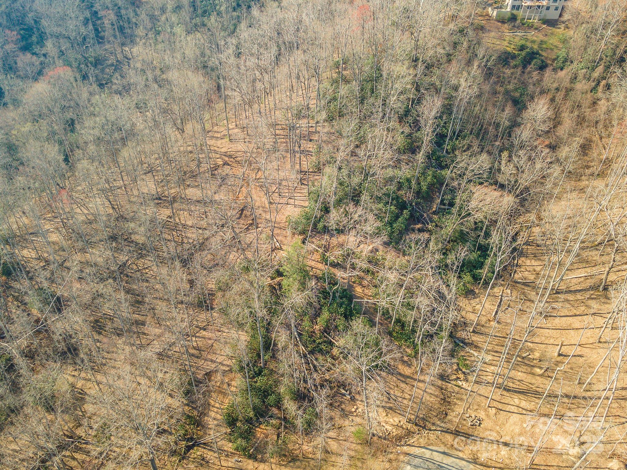 329 Carriage Crest Drive Property Photo 33