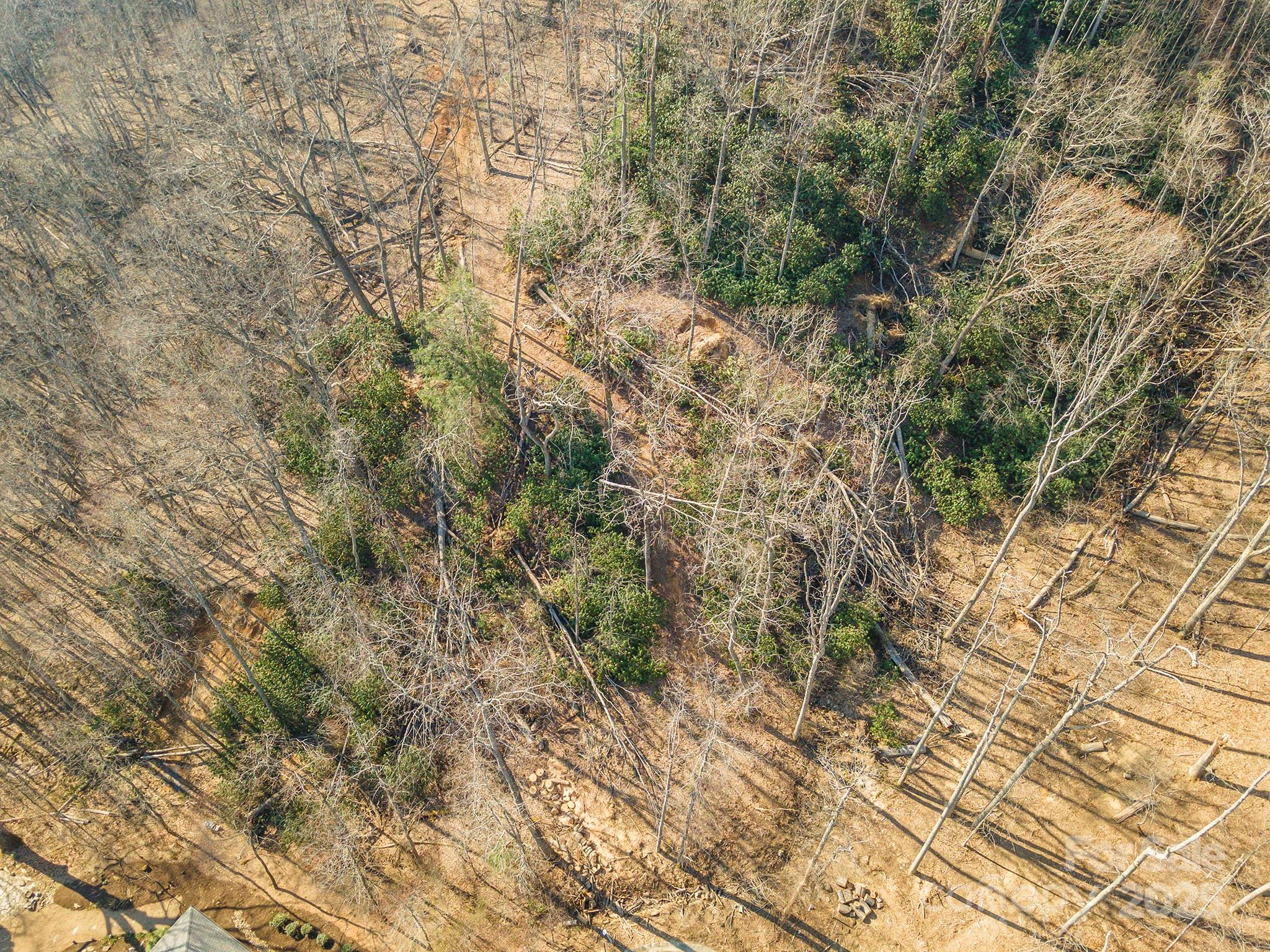 329 Carriage Crest Drive Property Photo 34