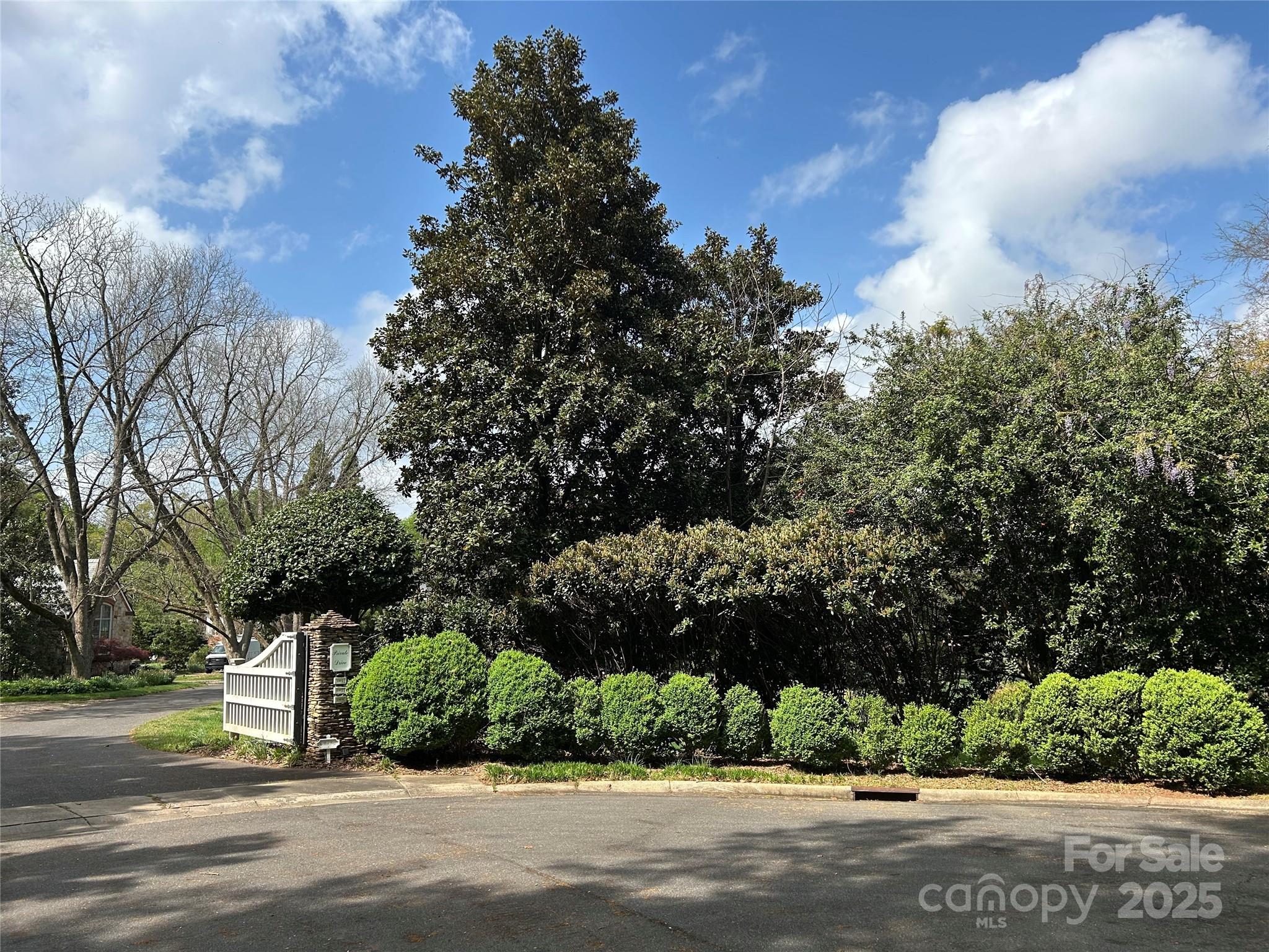 4811 Pellyn Farm Court Property Photo 4