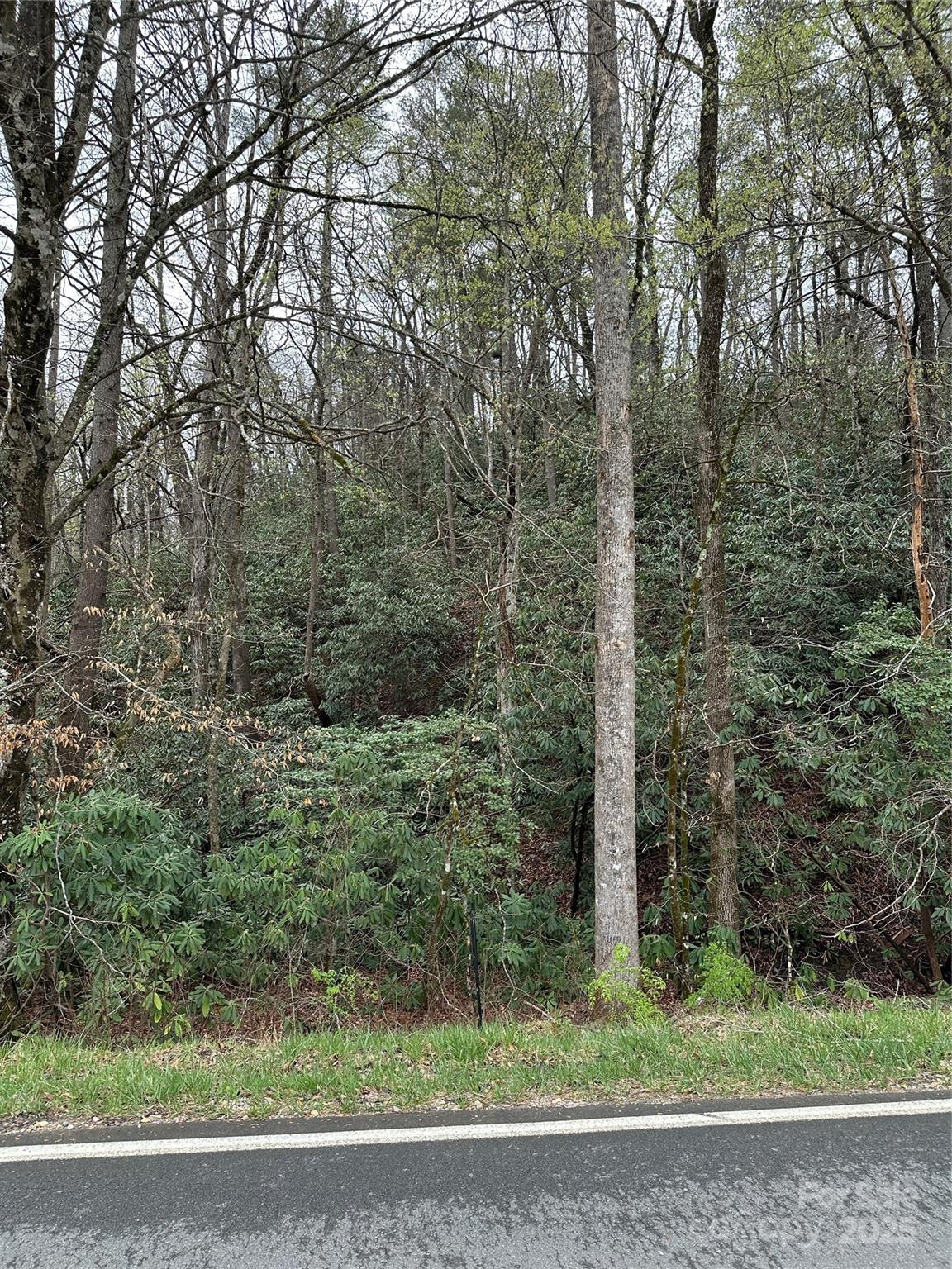 Off Cannon Road Property Photo