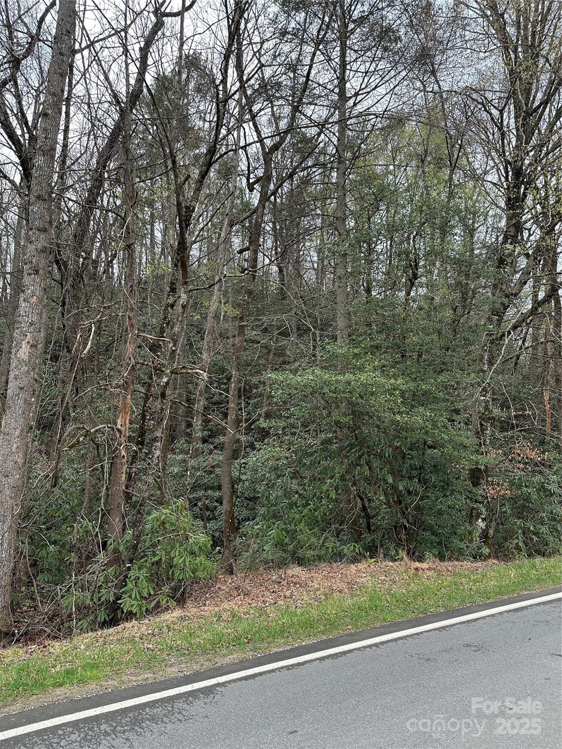 Off Cannon Road Property Photo 2