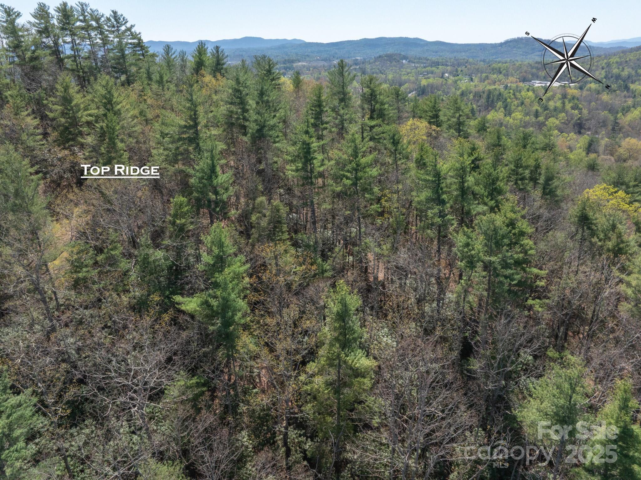 137 Onuska View Drive Property Photo 6