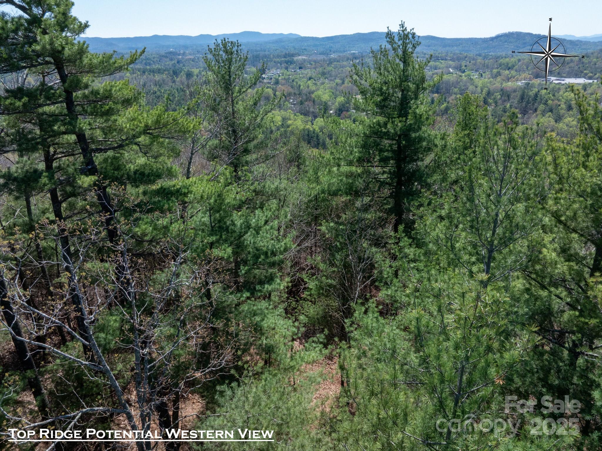 137 Onuska View Drive Property Photo 7