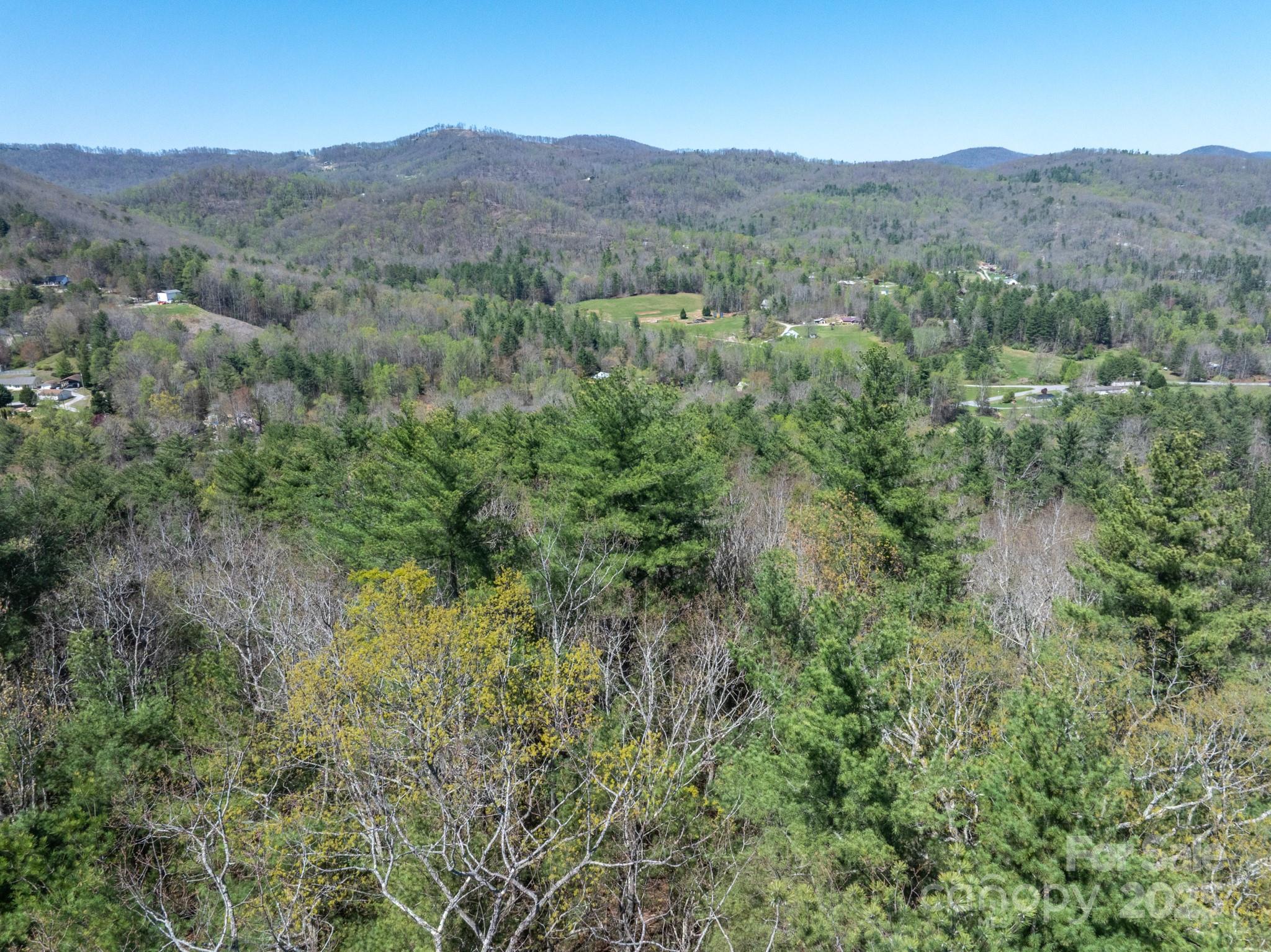 137 Onuska View Drive Property Photo 8