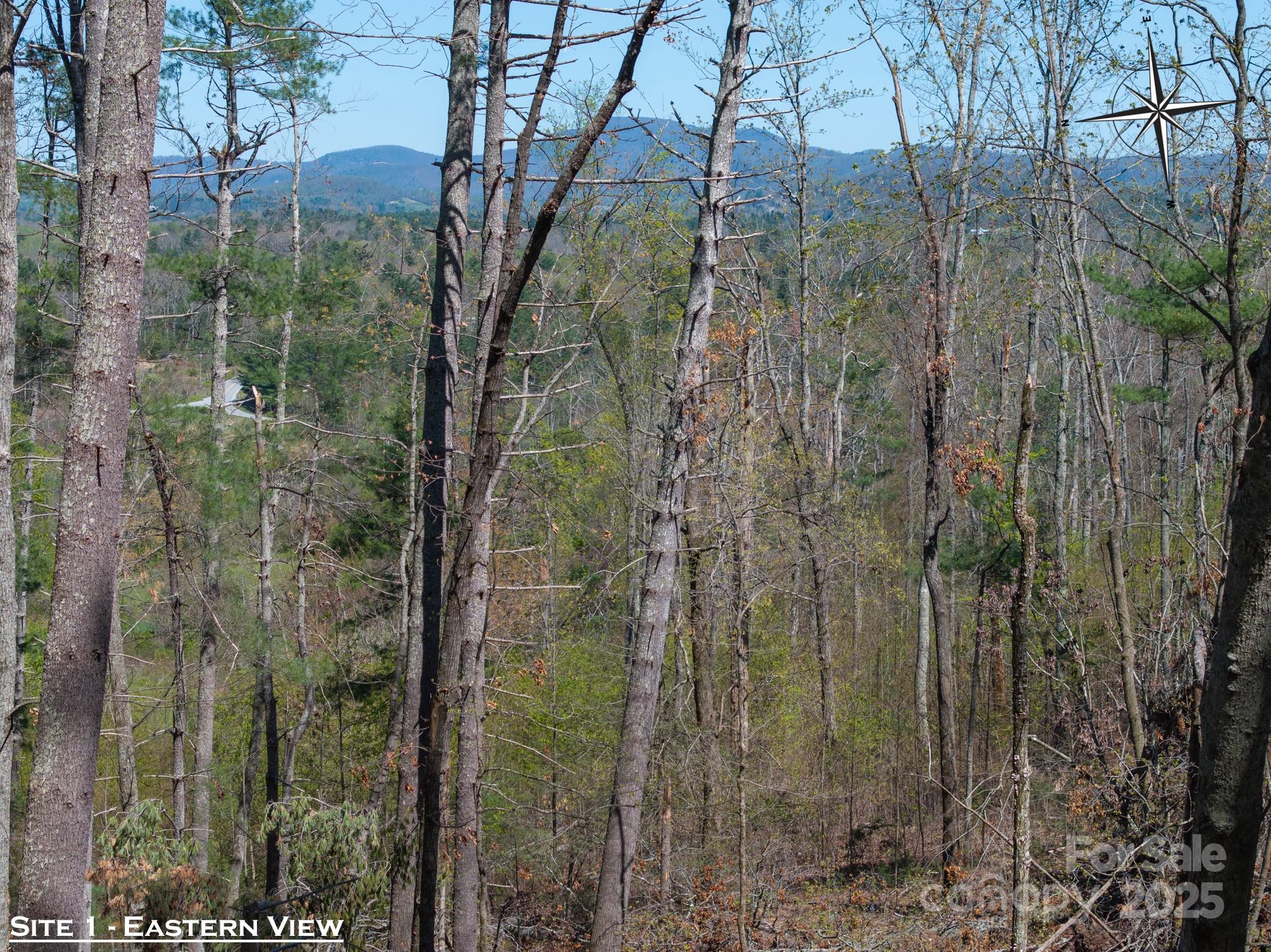 137 Onuska View Drive Property Photo 11