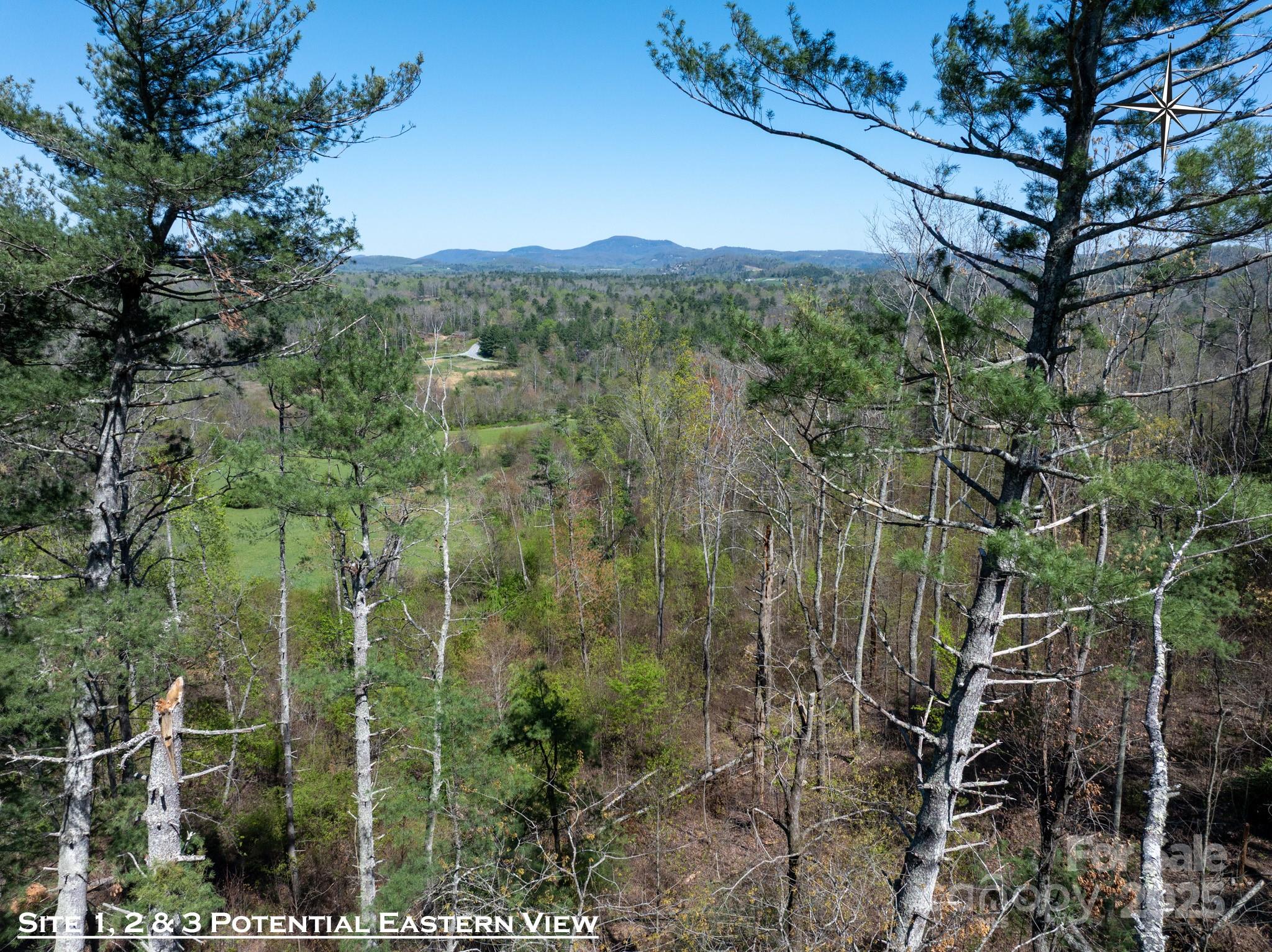137 Onuska View Drive Property Photo 12