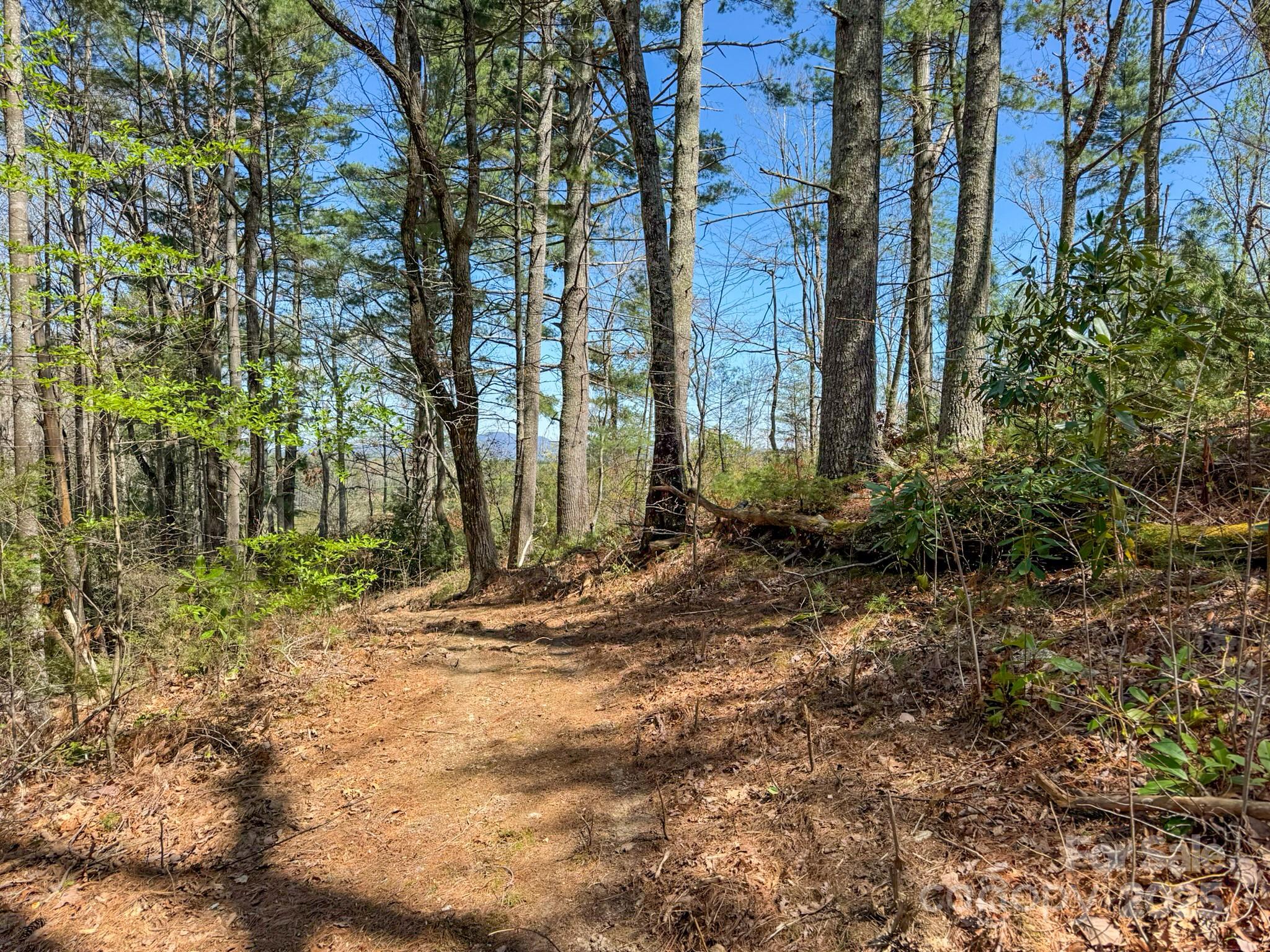 137 Onuska View Drive Property Photo 14