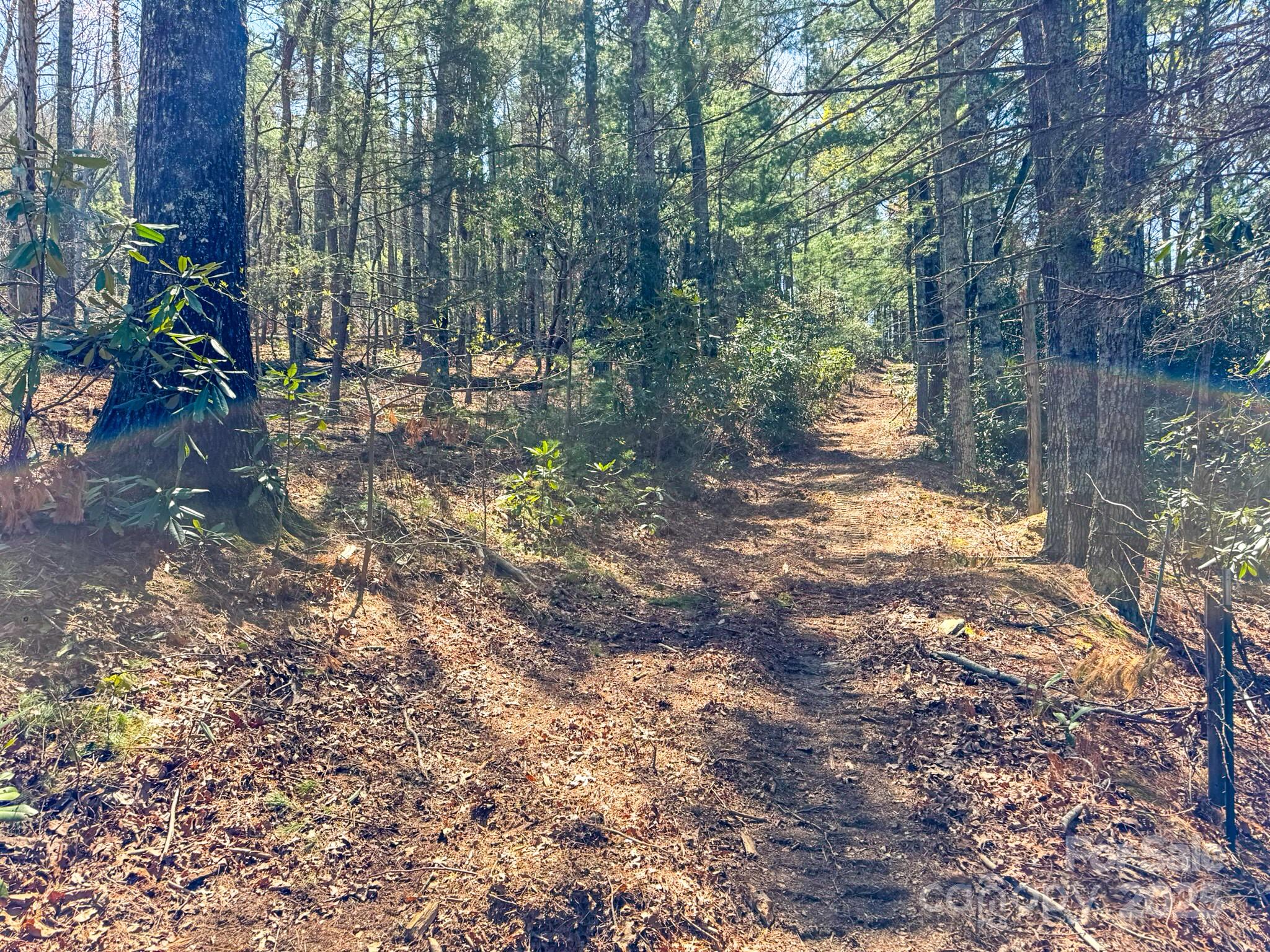 137 Onuska View Drive Property Photo 15