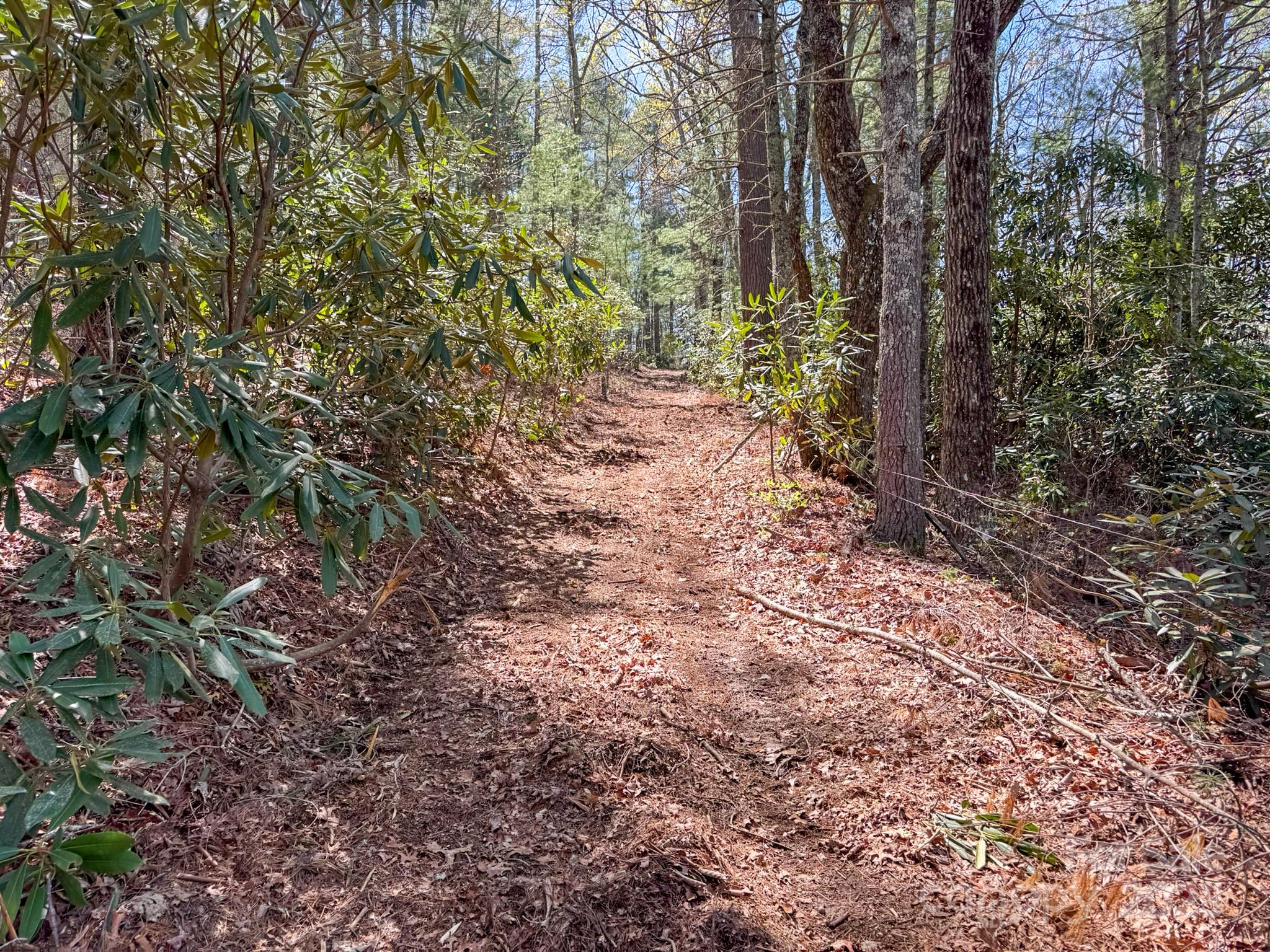 137 Onuska View Drive Property Photo 16