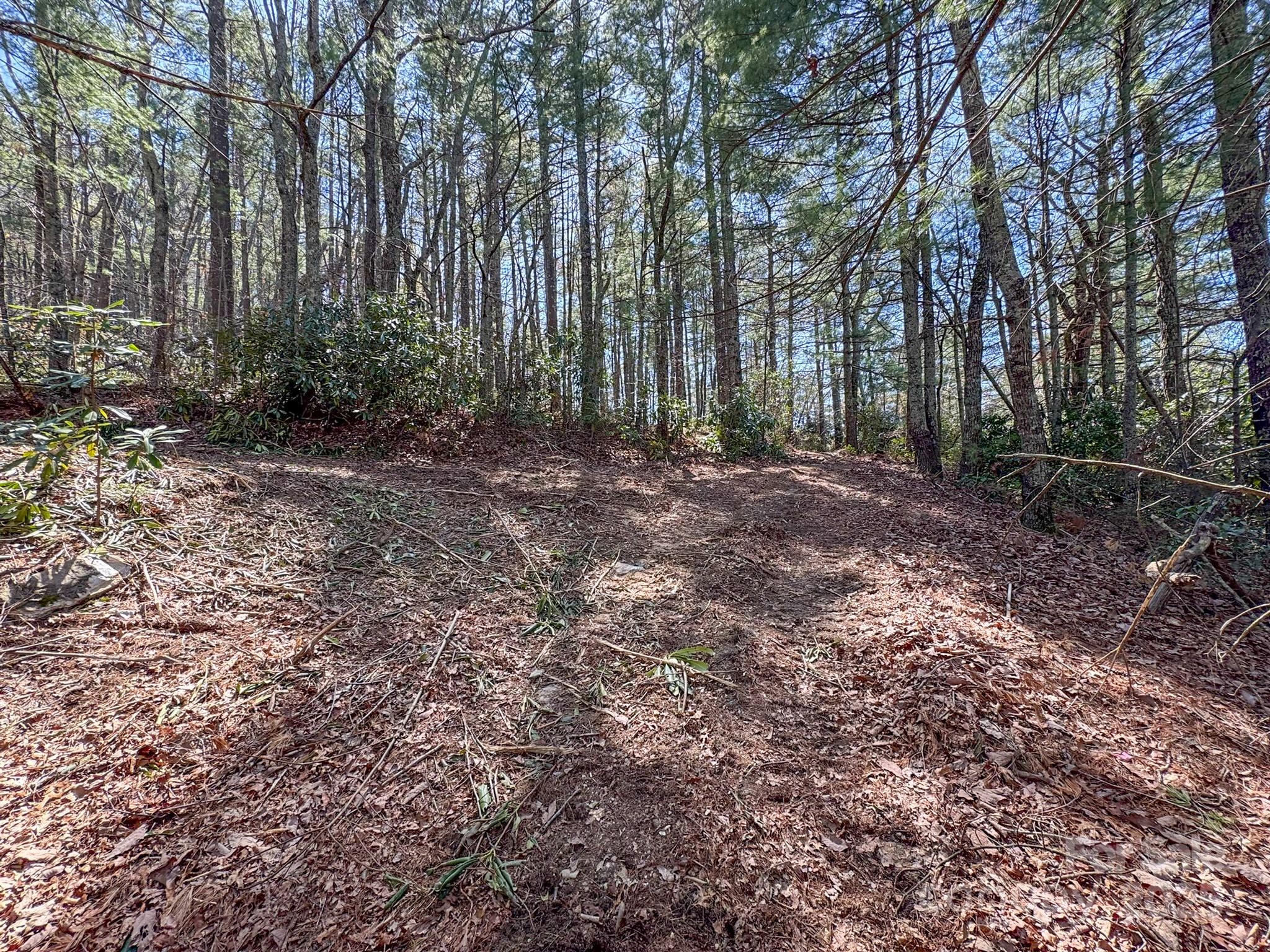 137 Onuska View Drive Property Photo 17