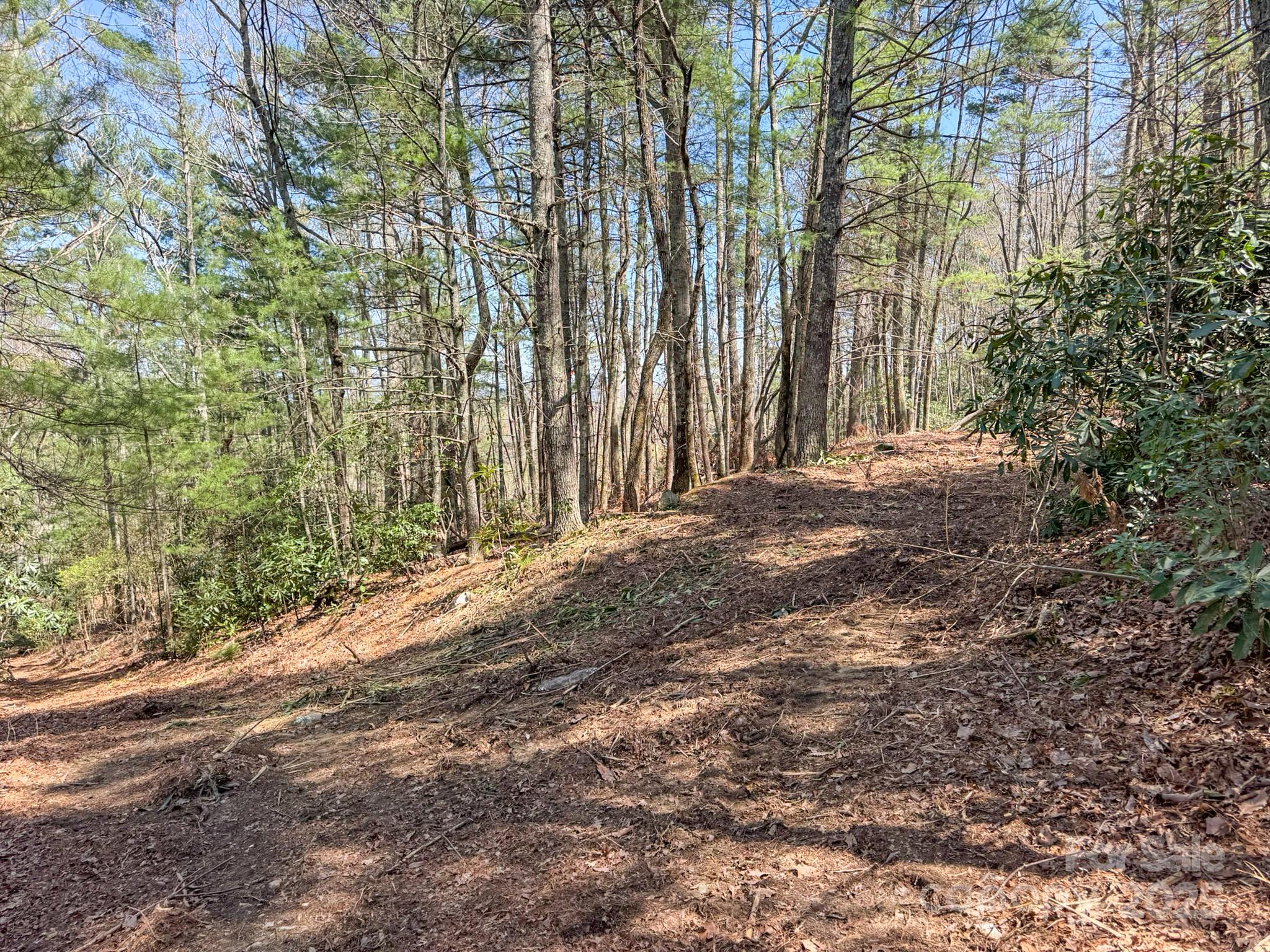 137 Onuska View Drive Property Photo 18