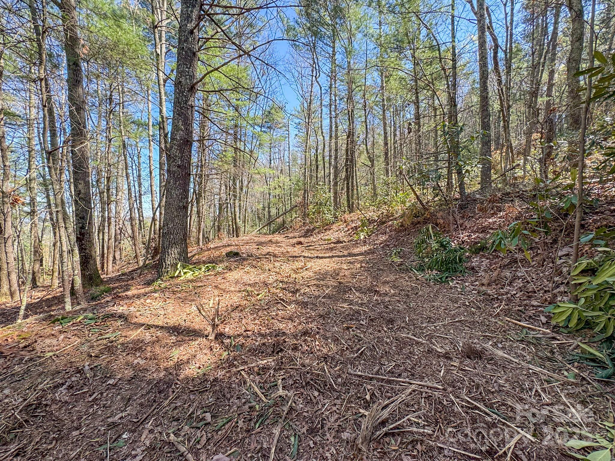 137 Onuska View Drive Property Photo 19