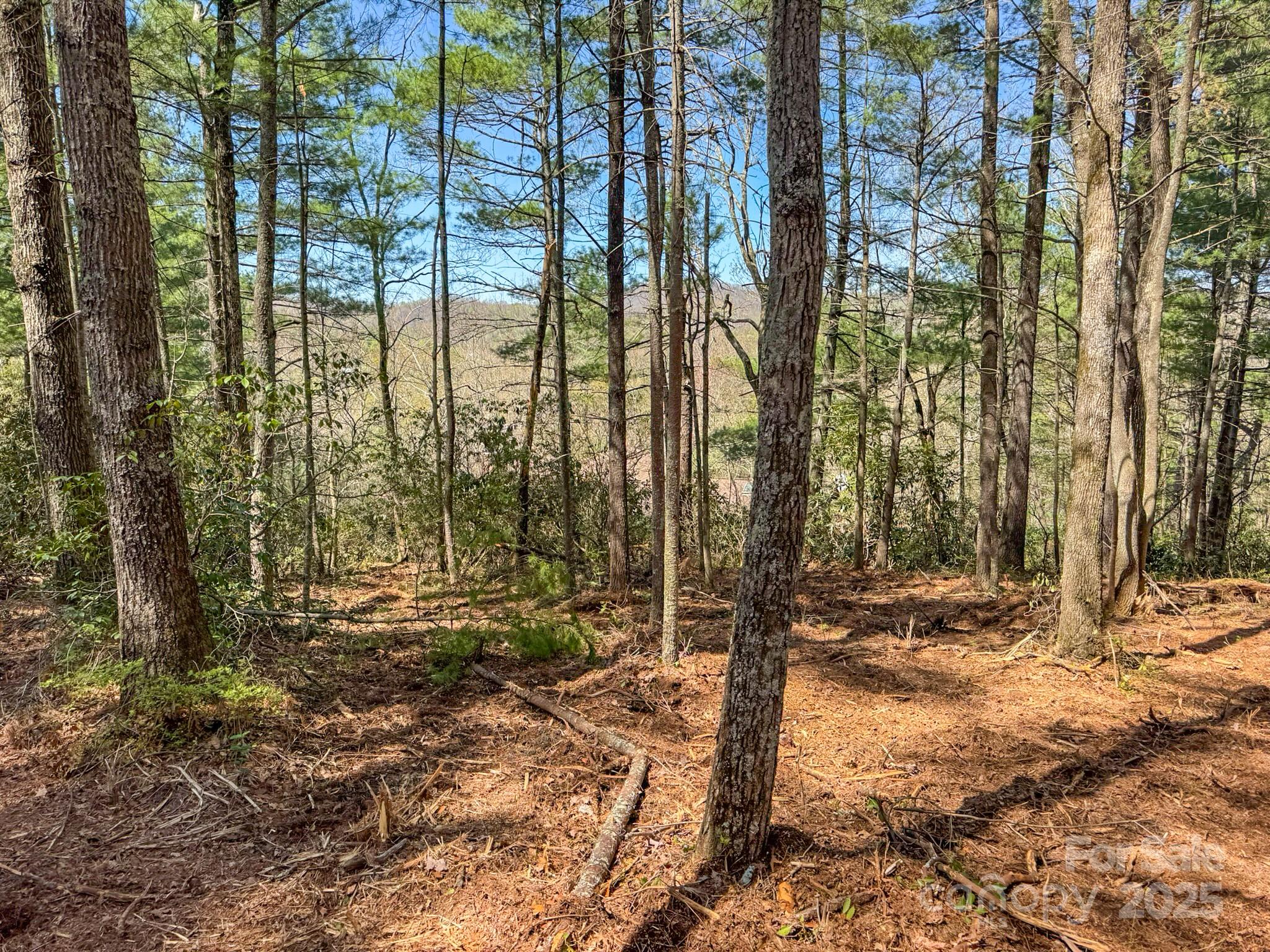 137 Onuska View Drive Property Photo 20