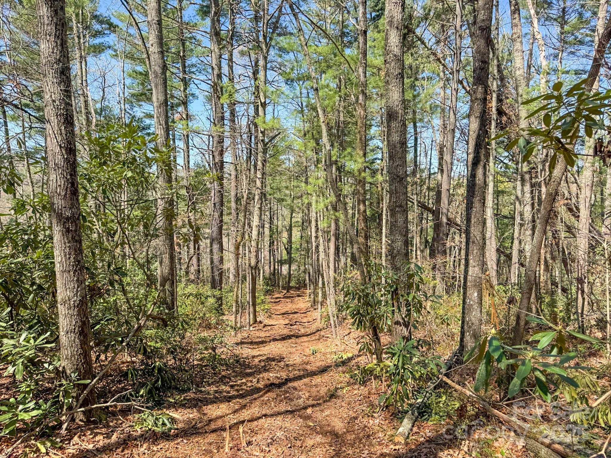 137 Onuska View Drive Property Photo 21