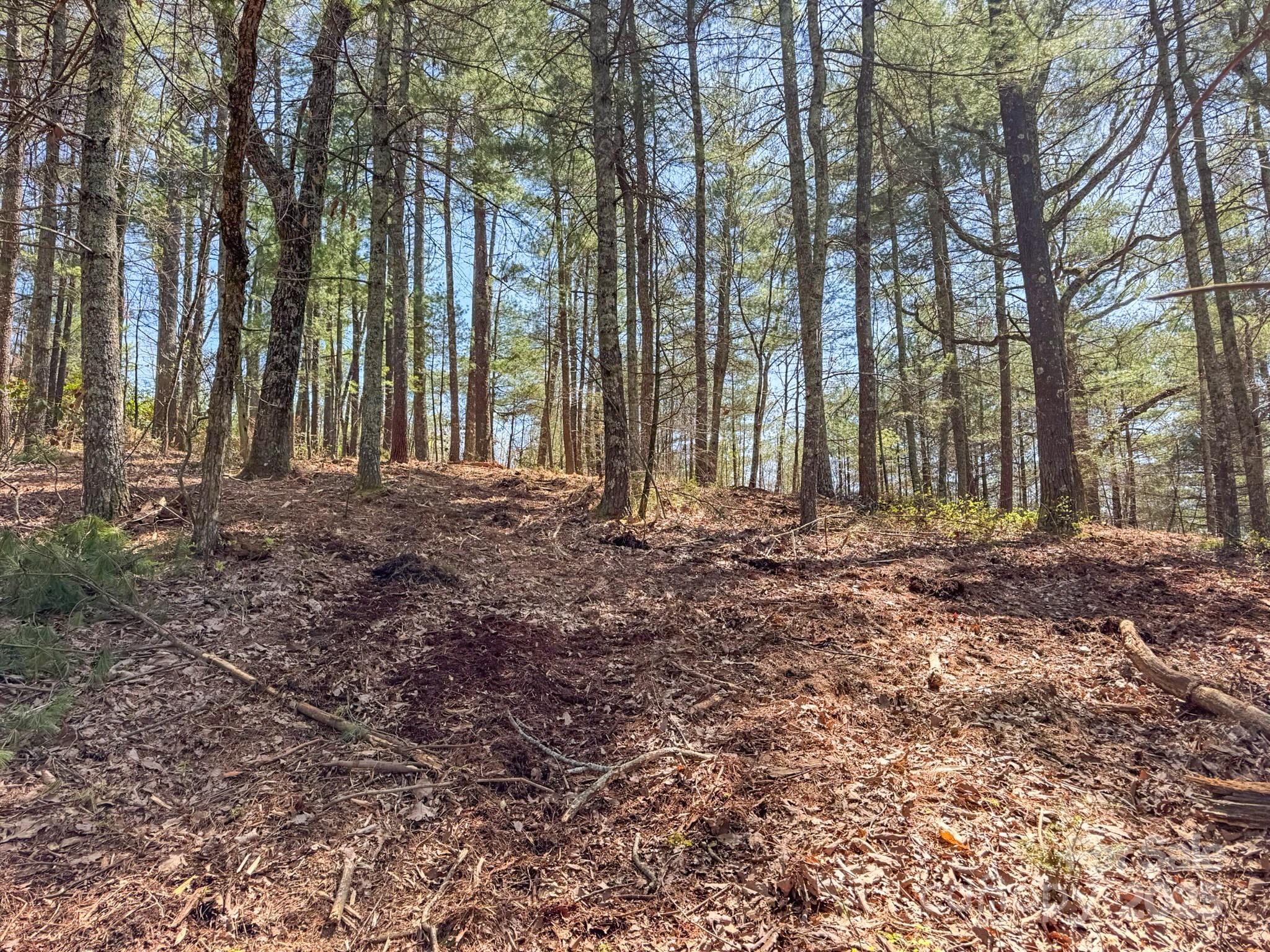 137 Onuska View Drive Property Photo 22