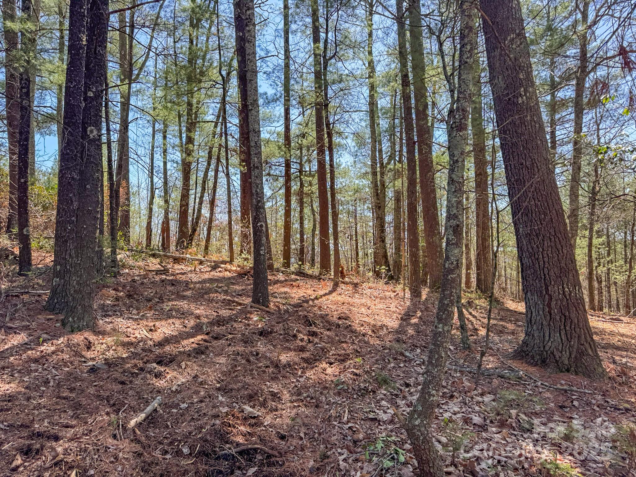 137 Onuska View Drive Property Photo 24
