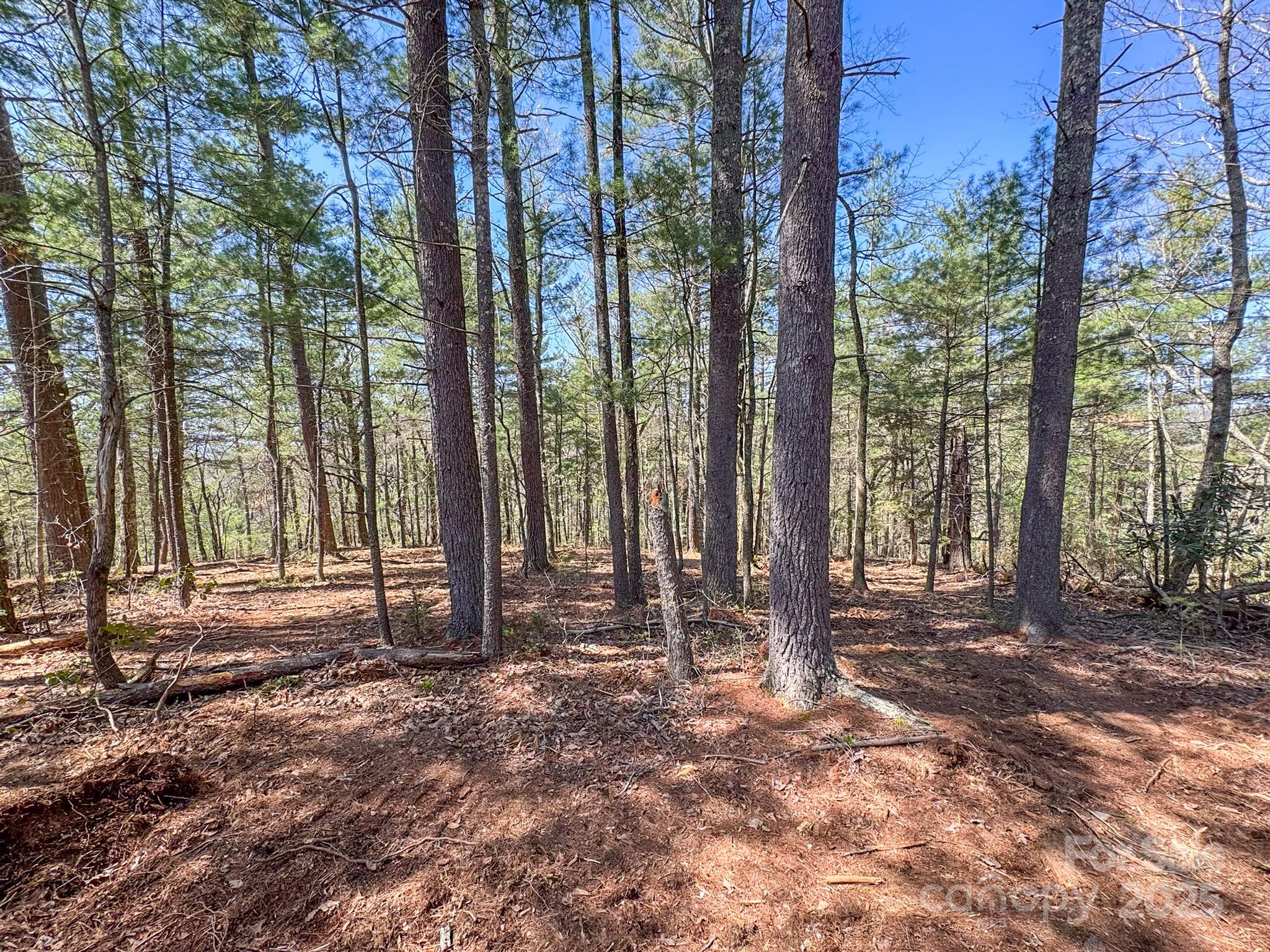 137 Onuska View Drive Property Photo 25