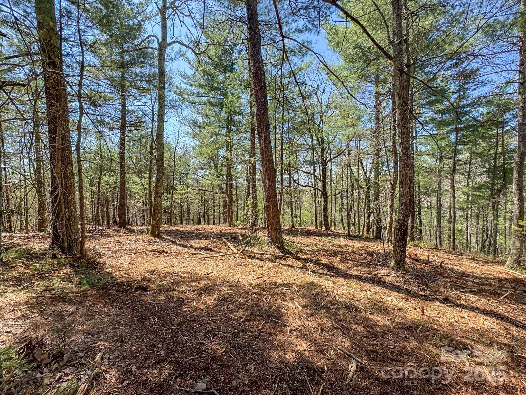 137 Onuska View Drive Property Photo 26