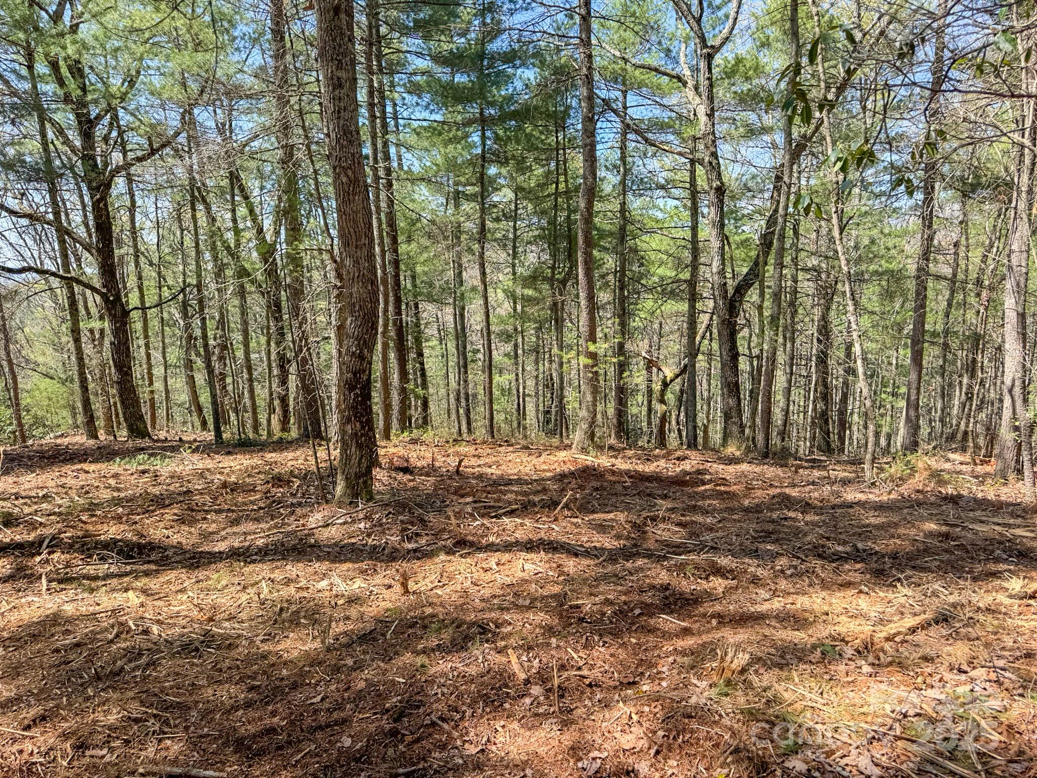 137 Onuska View Drive Property Photo 27