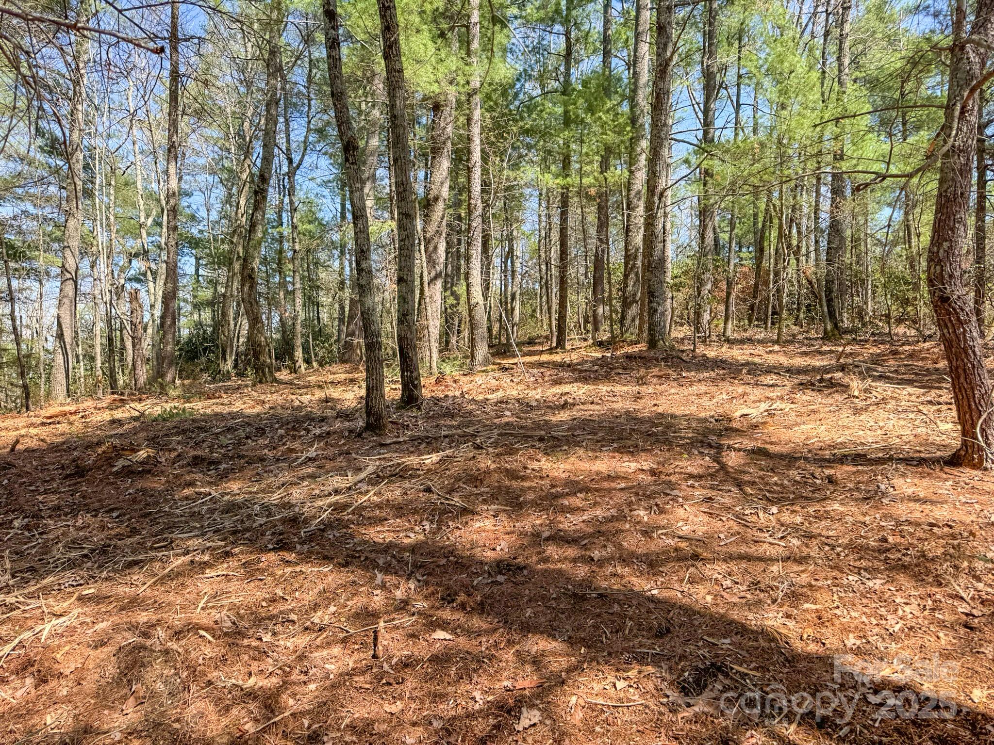 137 Onuska View Drive Property Photo 28