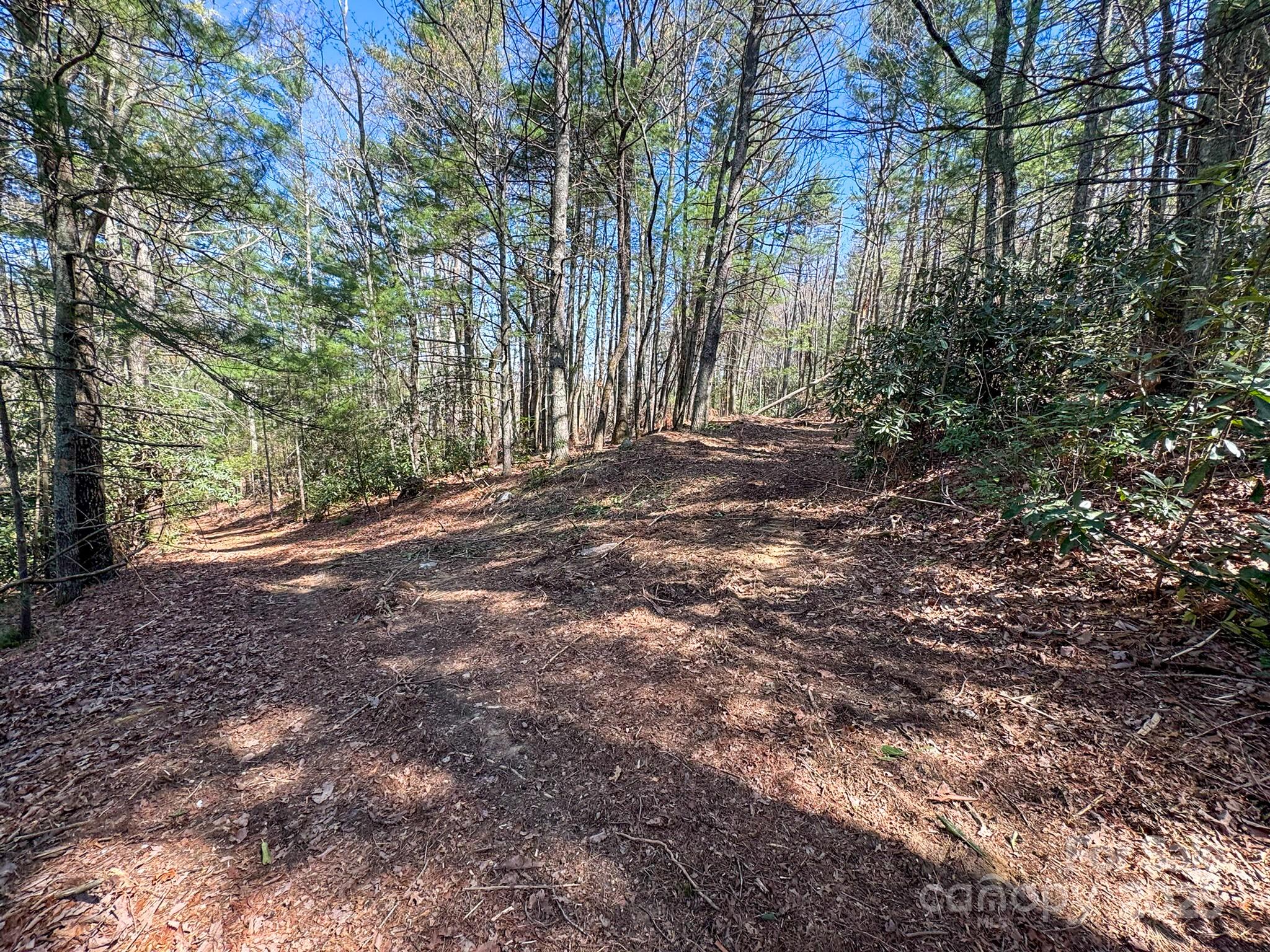 137 Onuska View Drive Property Photo 31