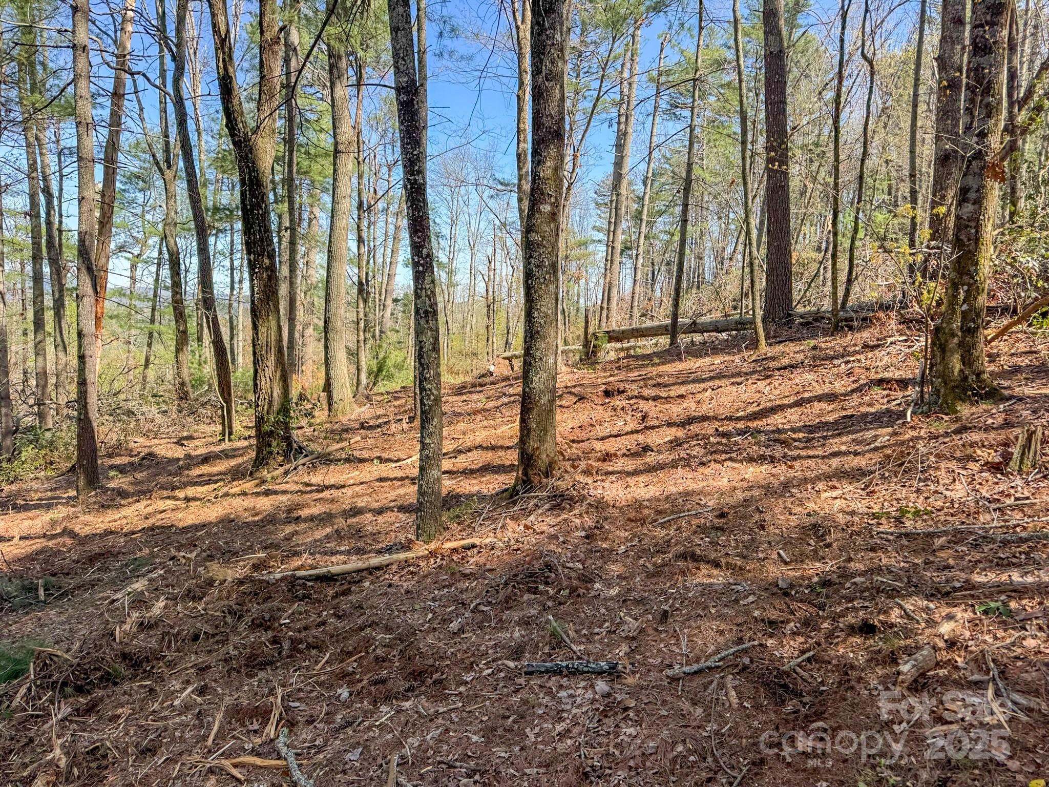 137 Onuska View Drive Property Photo 32