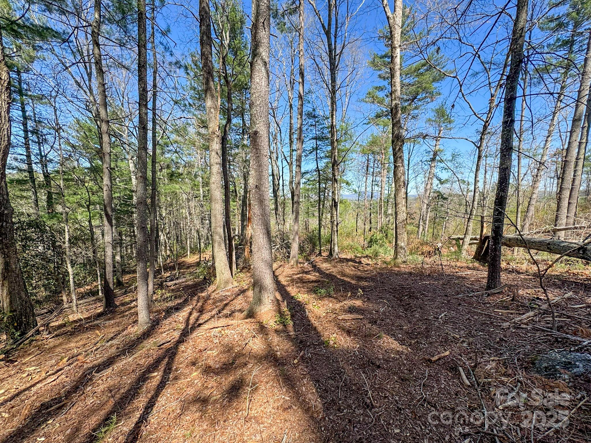 137 Onuska View Drive Property Photo 33
