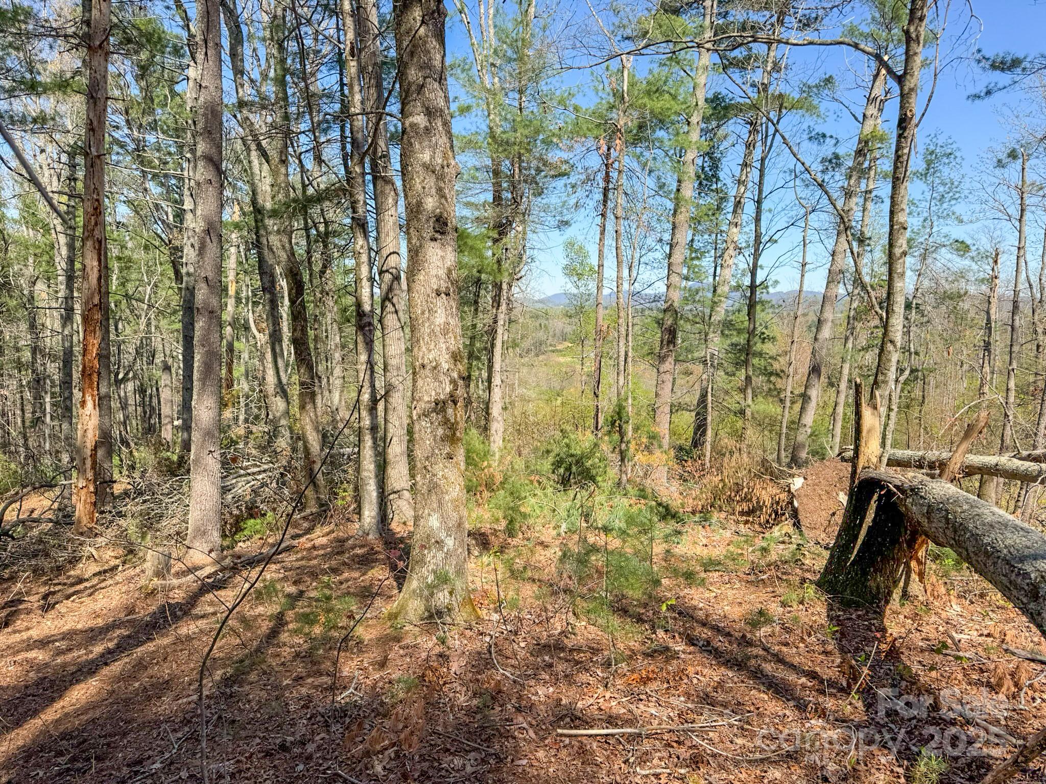137 Onuska View Drive Property Photo 34