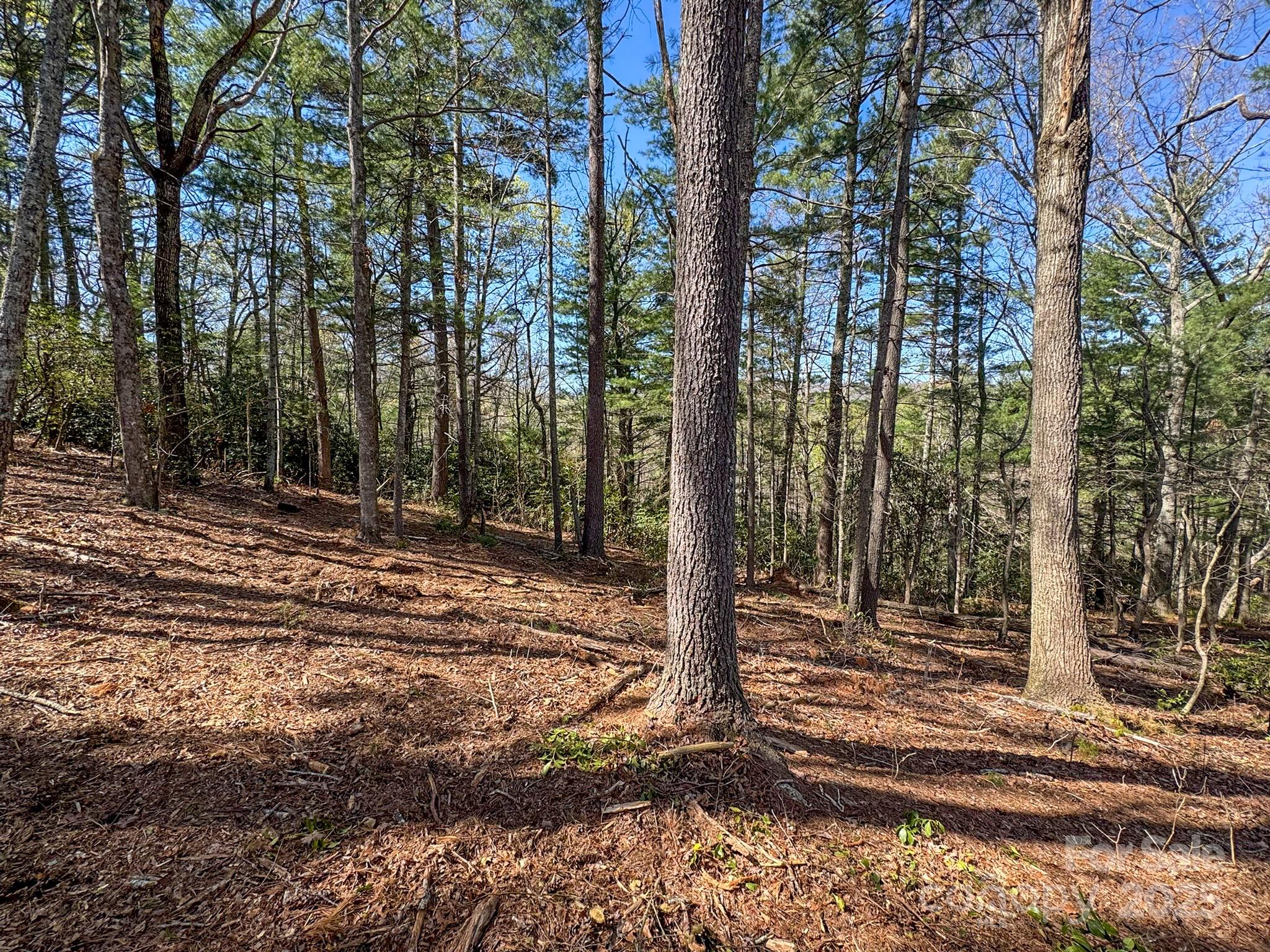 137 Onuska View Drive Property Photo 35