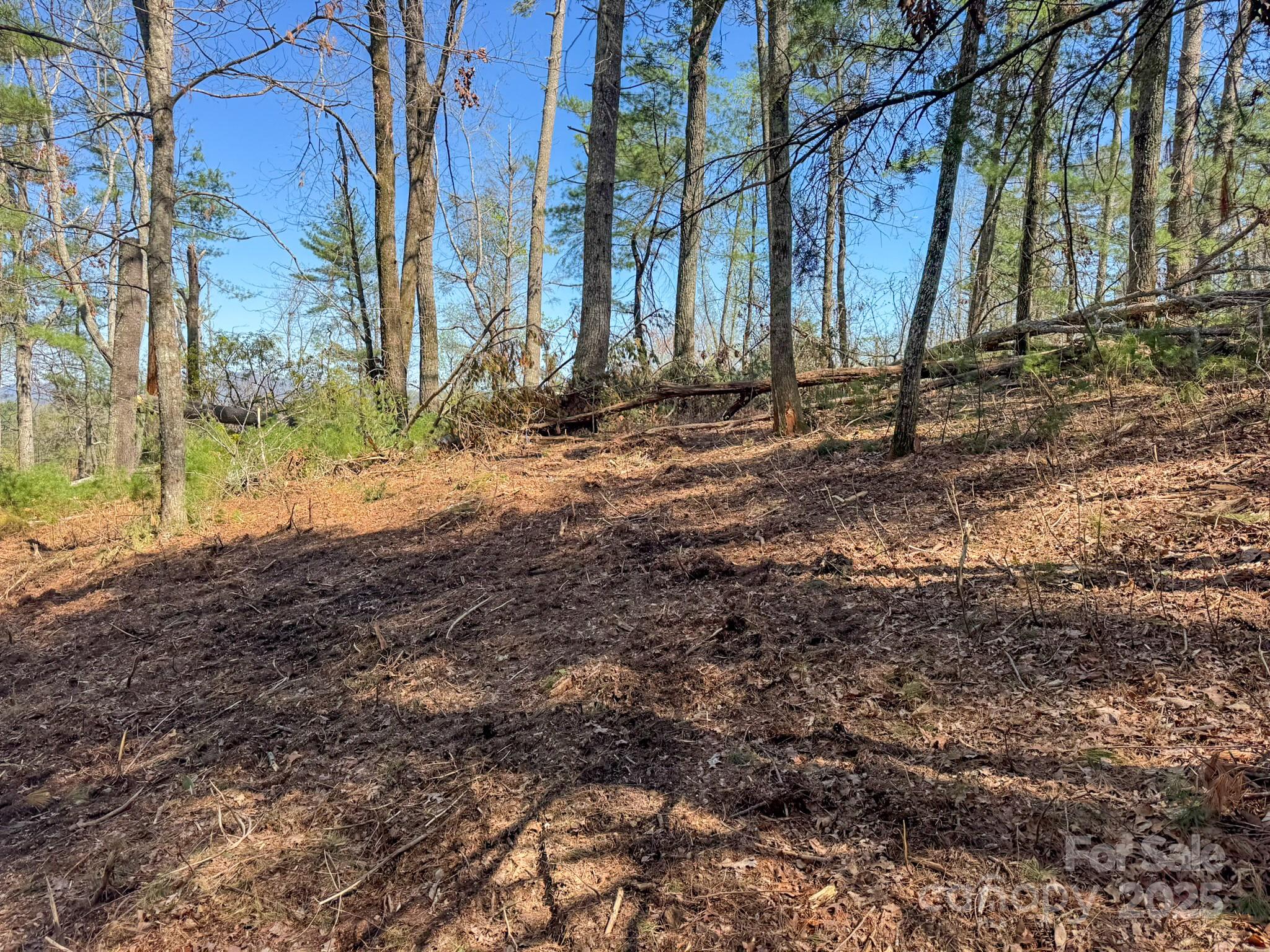 137 Onuska View Drive Property Photo 36