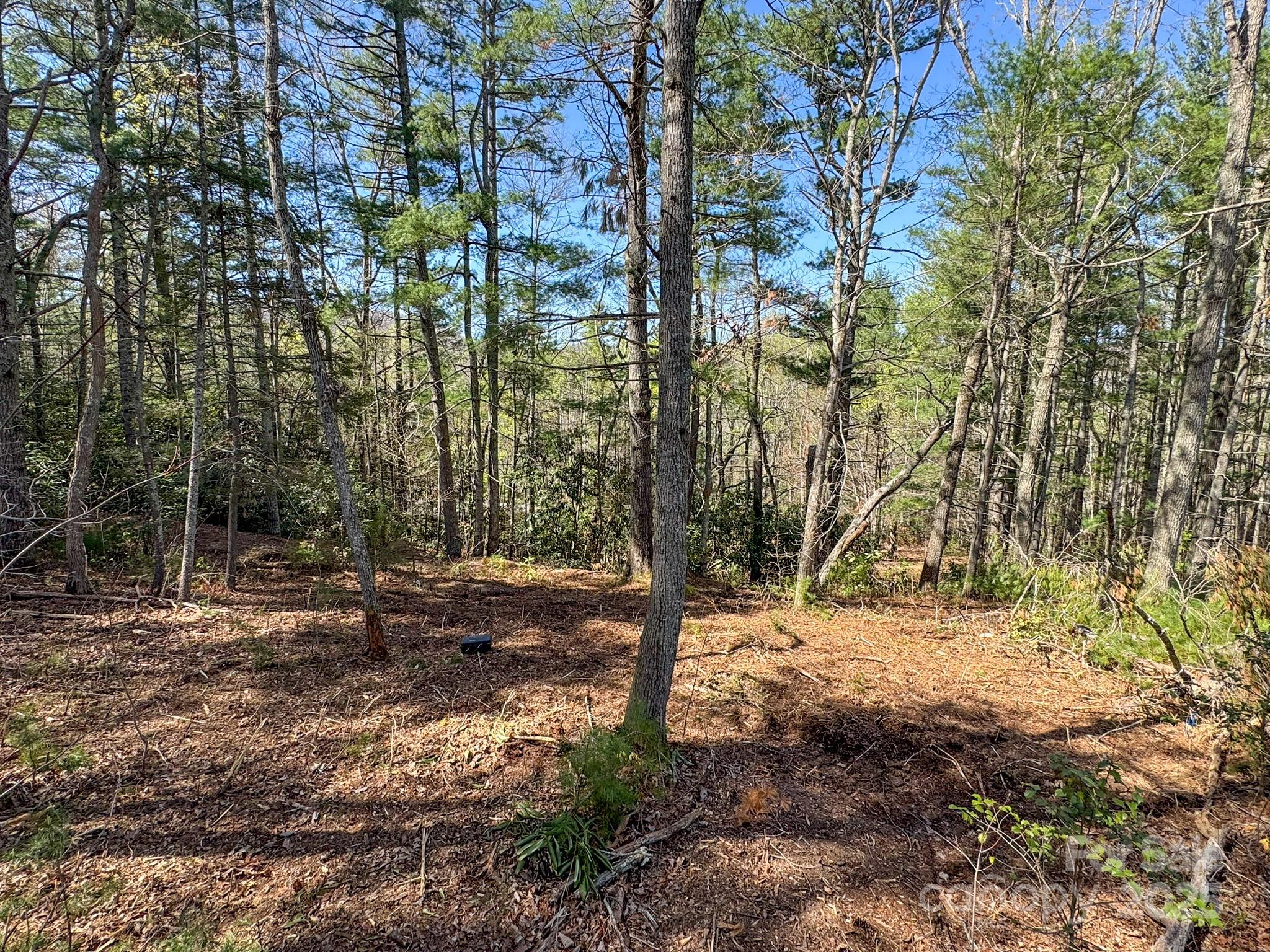 137 Onuska View Drive Property Photo 37