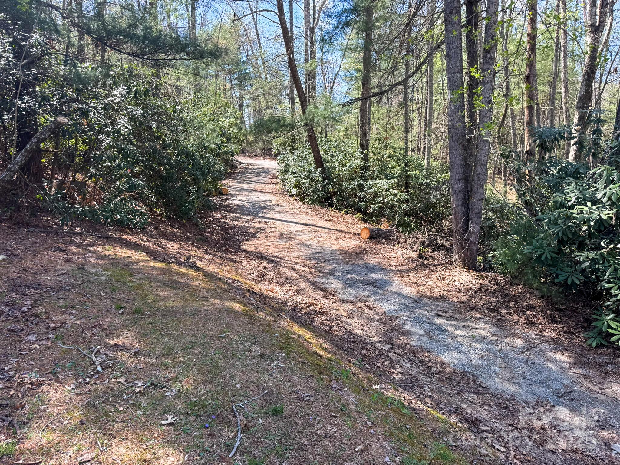 137 Onuska View Drive Property Photo 43