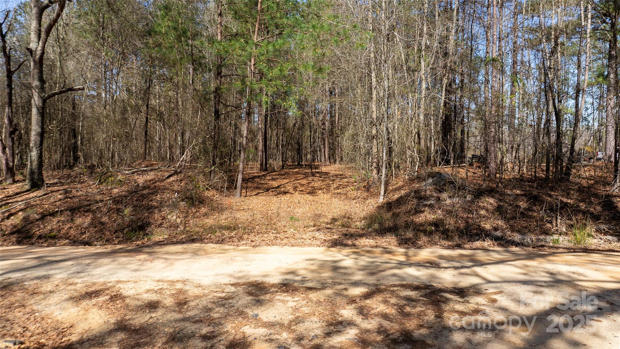 312 Old Hwy 1 Highway Property Photo 6