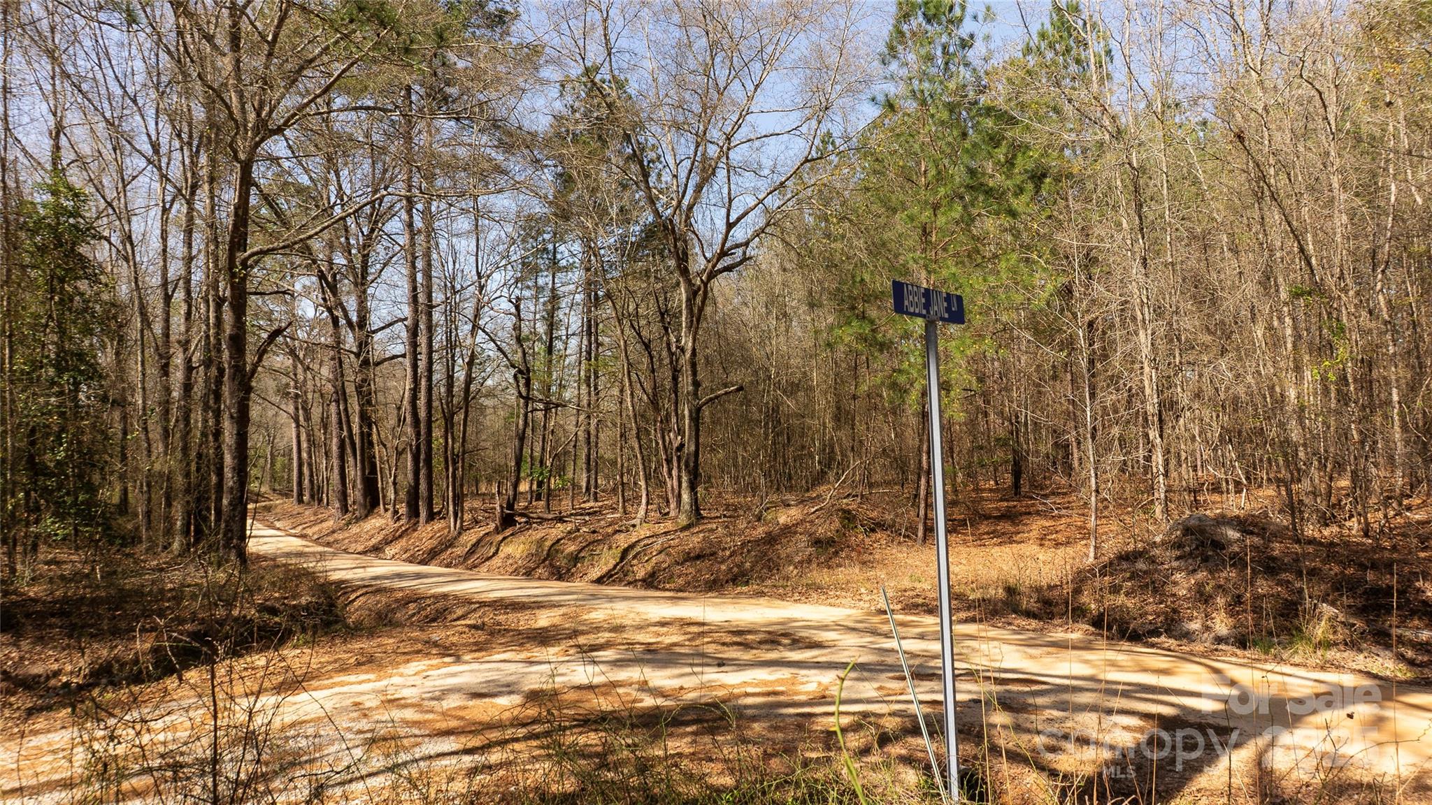 312 Old Hwy 1 Highway Property Photo 14