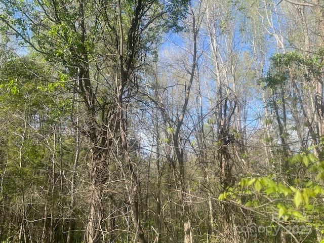 0 Bee Tree Road Property Photo 1