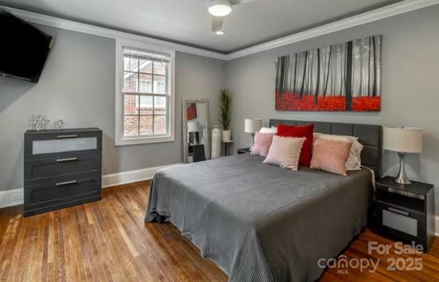 713/715 Walnut Avenue Property Photo 6