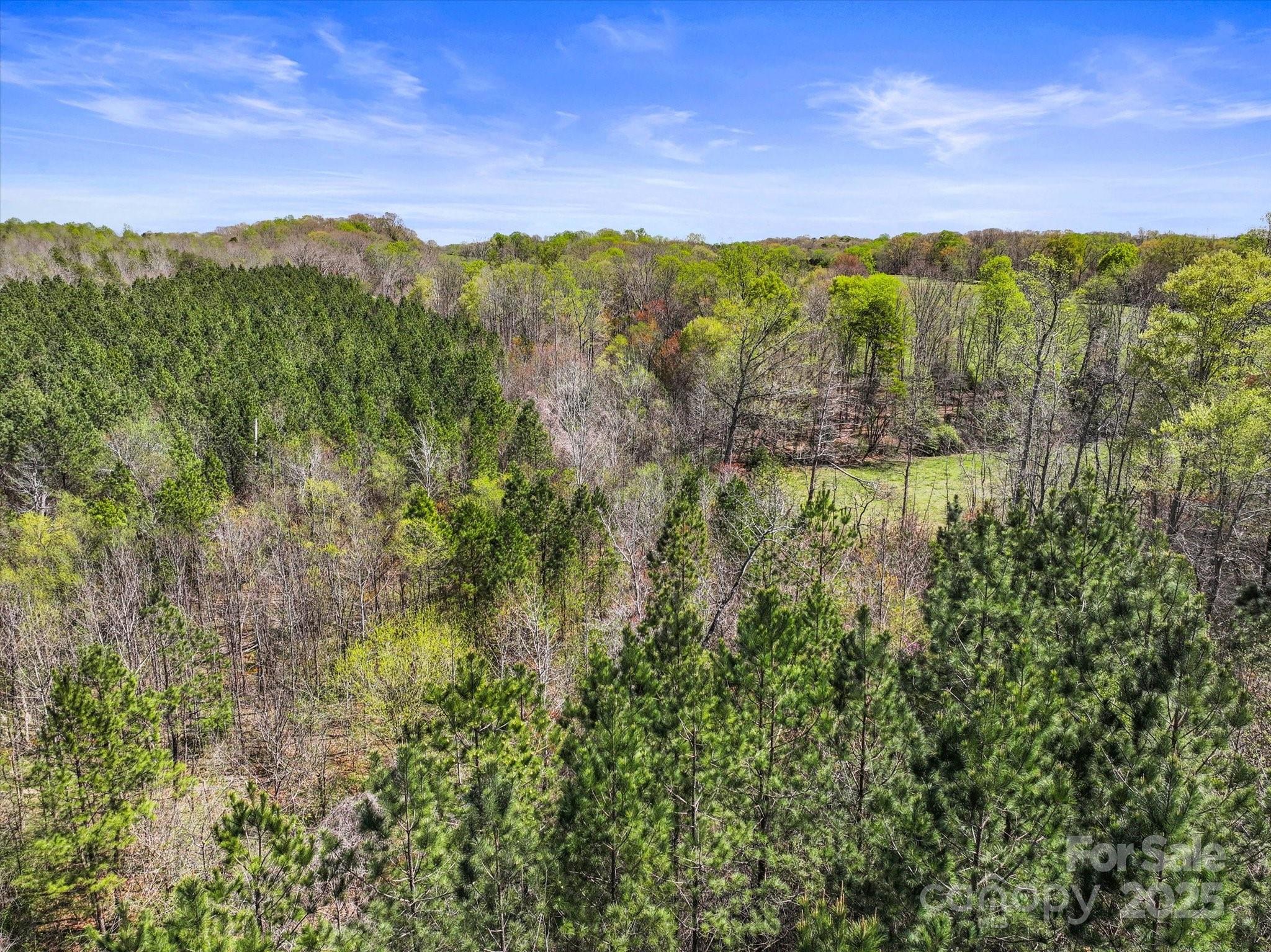 2122 Hewitt Road Property Photo 3