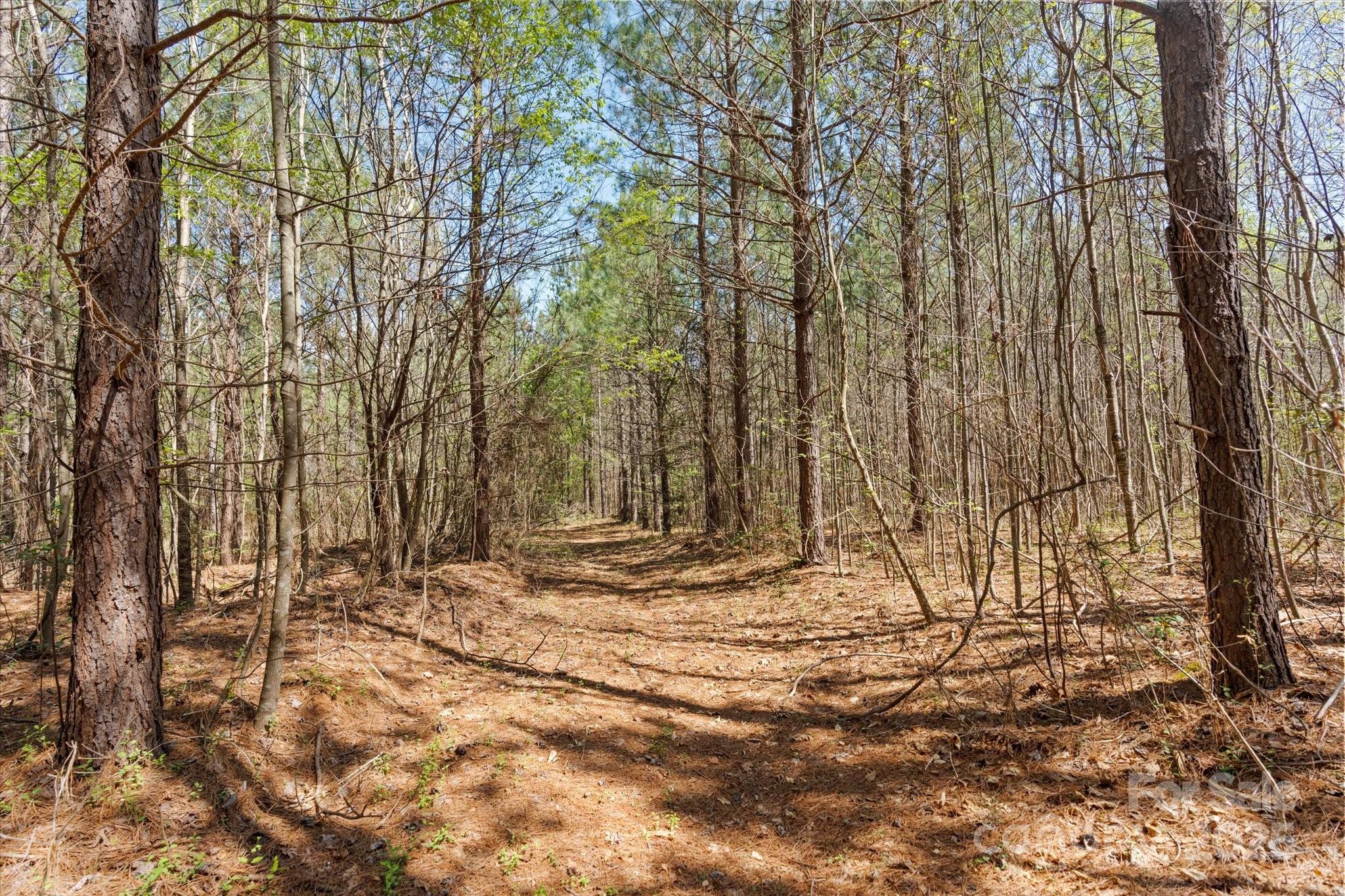 2122 Hewitt Road Property Photo 5
