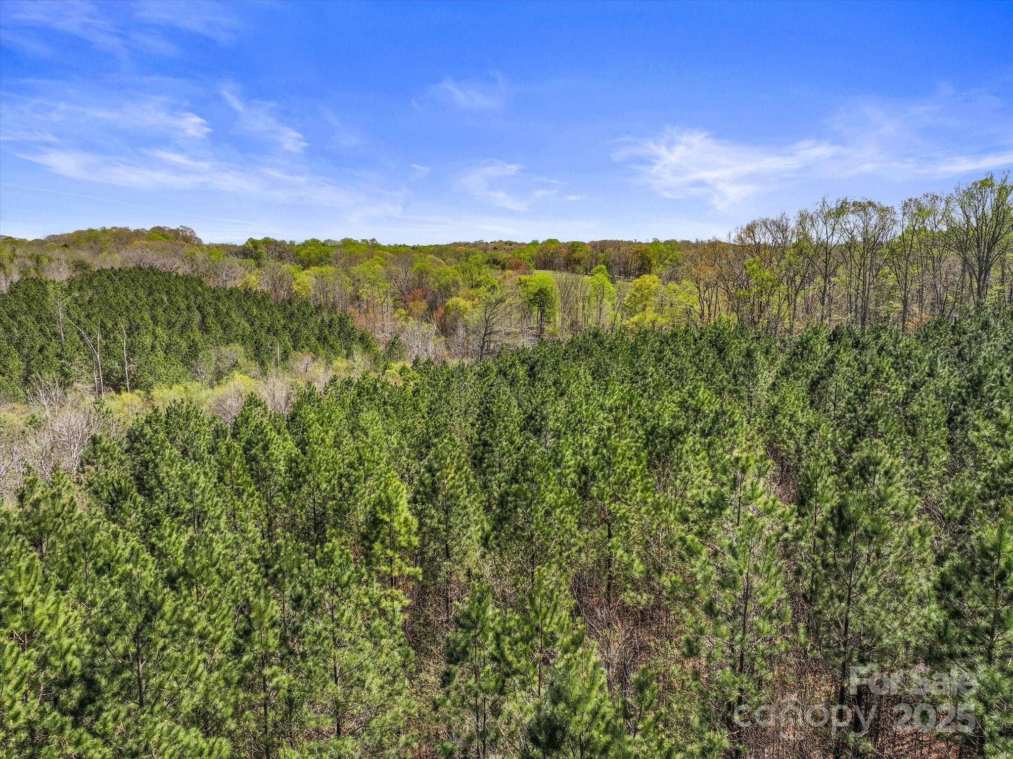 2122 Hewitt Road Property Photo 7