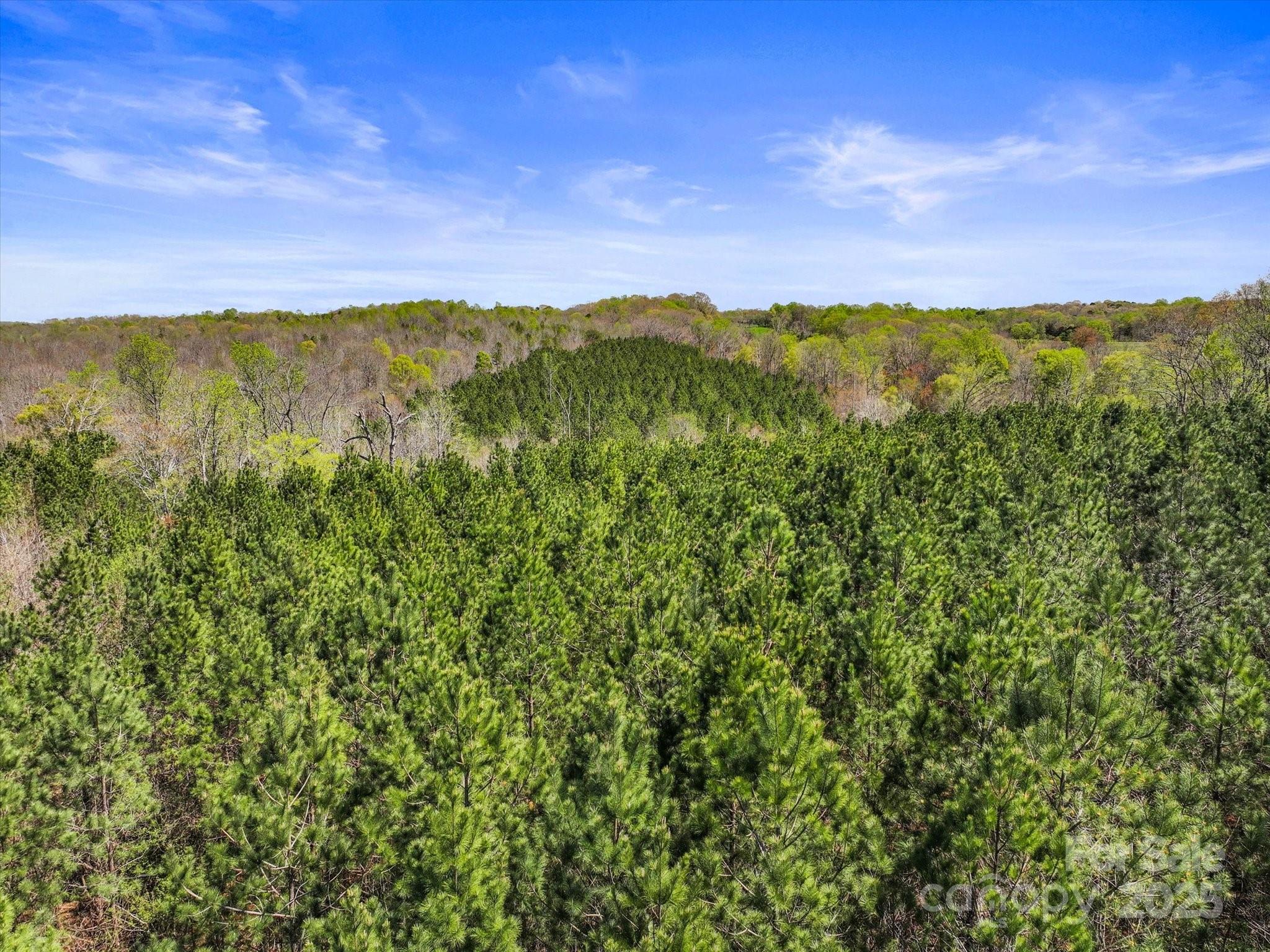 2122 Hewitt Road Property Photo 8
