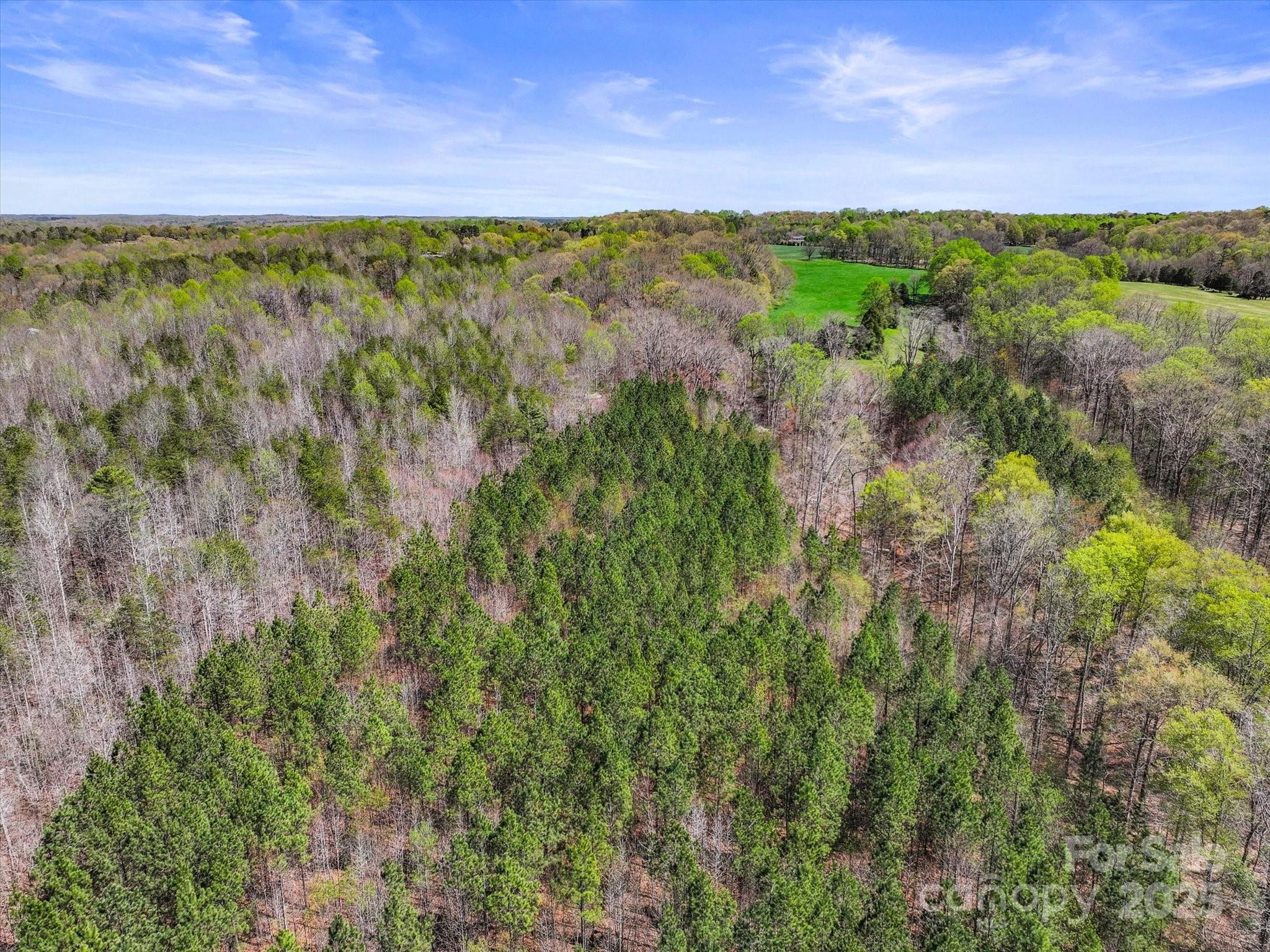 2122 Hewitt Road Property Photo 13