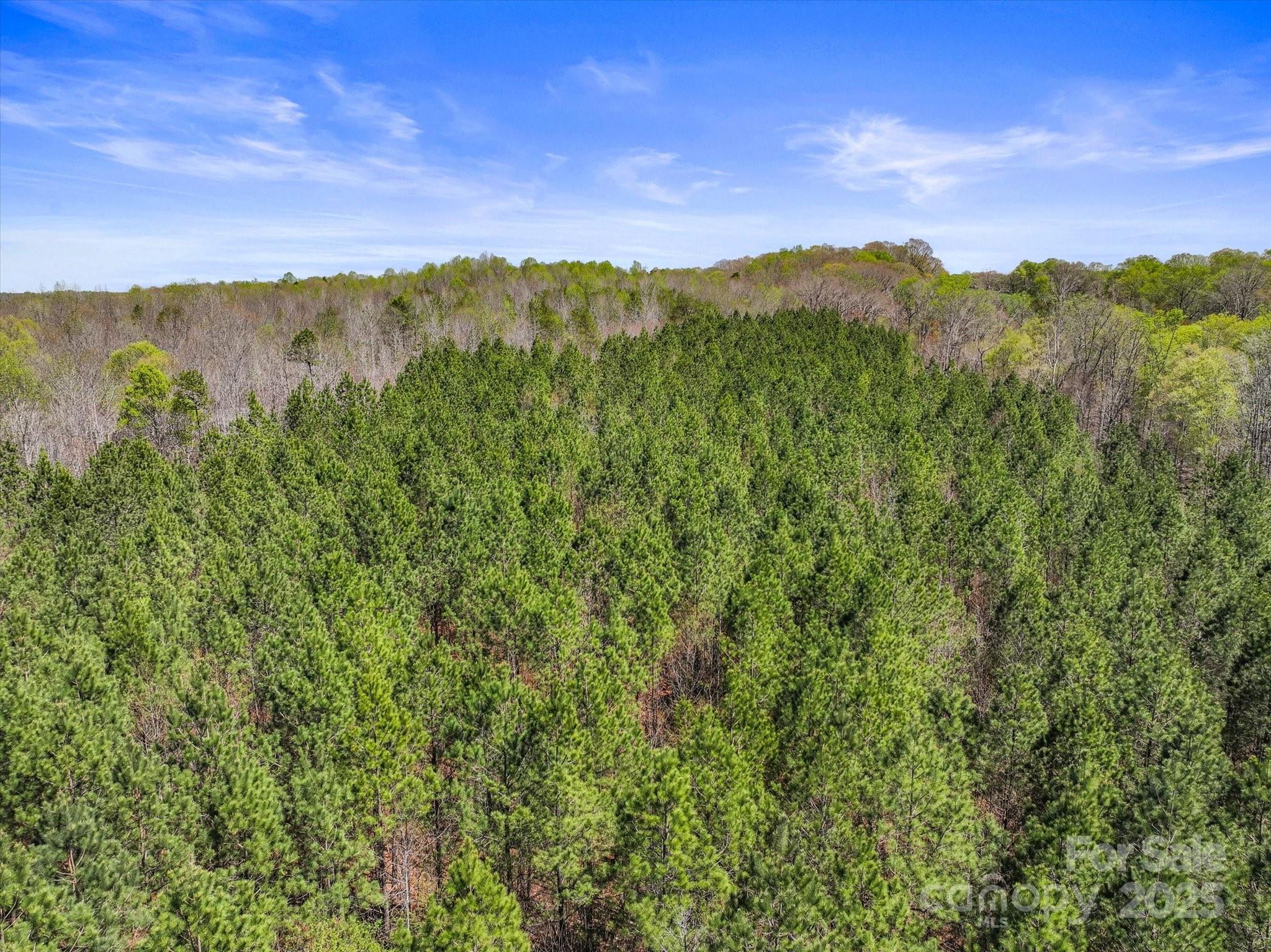 2122 Hewitt Road Property Photo 14