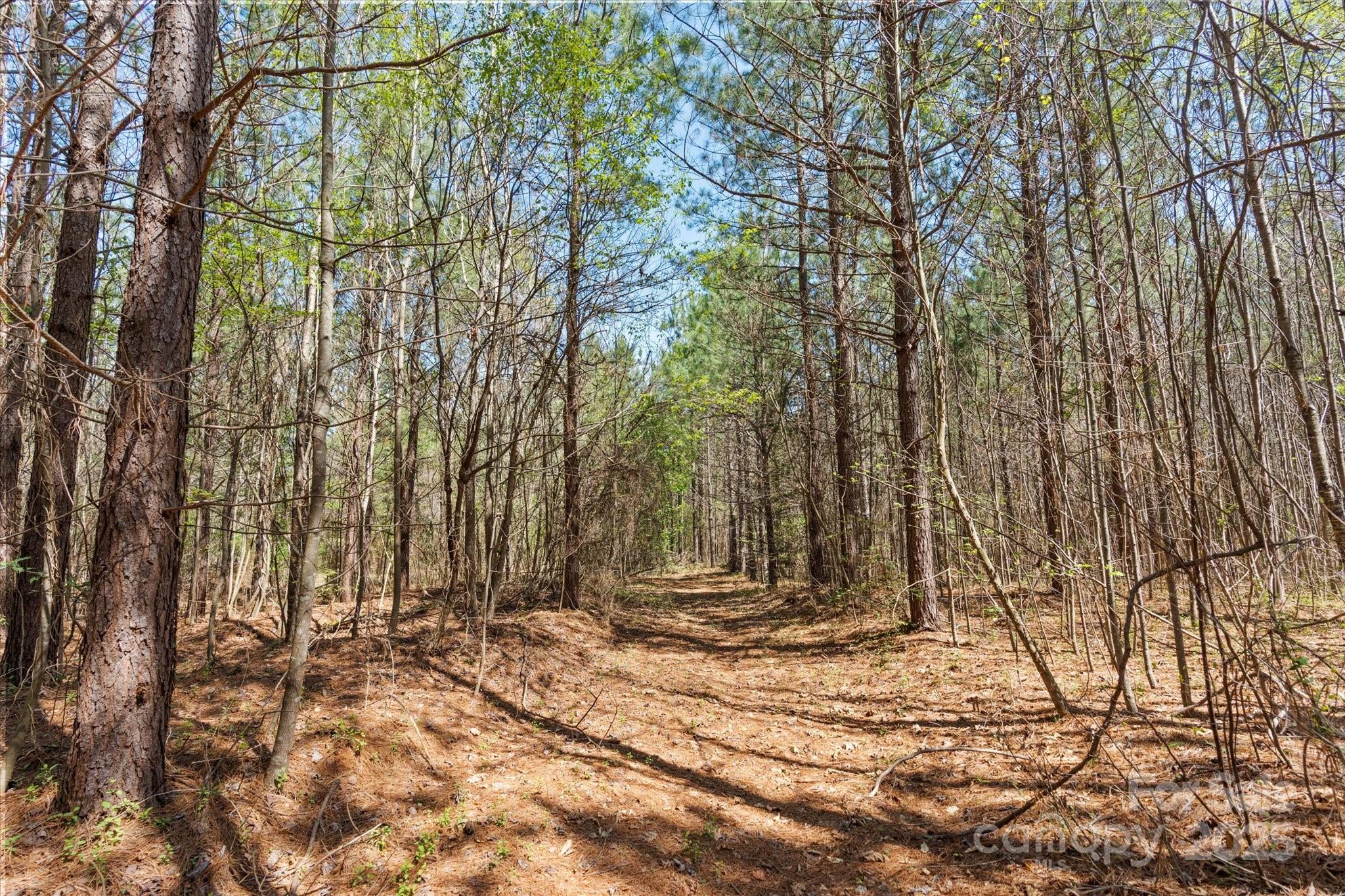 2122 Hewitt Road Property Photo 19