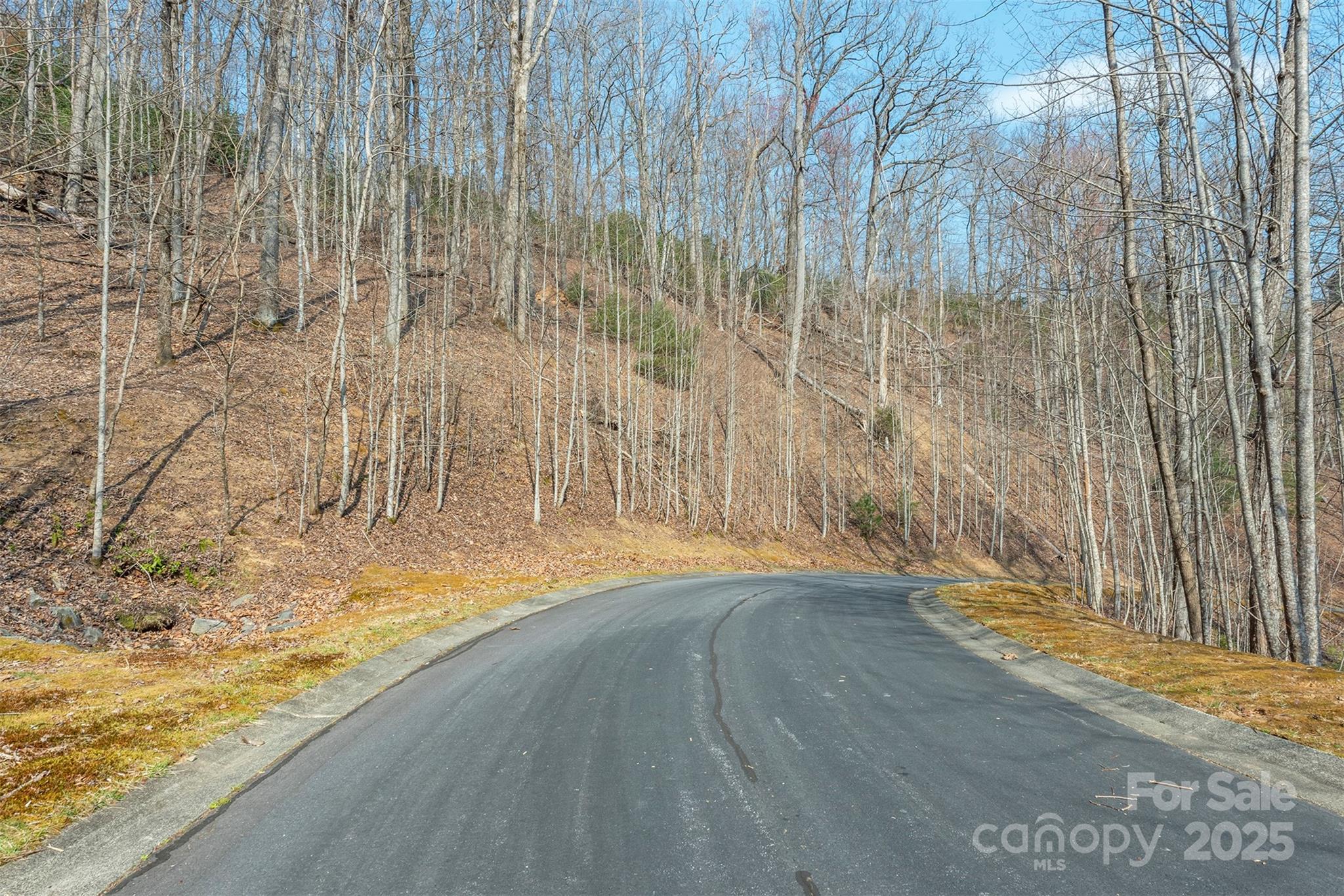 0 Shining Rock Path 11 Property Photo