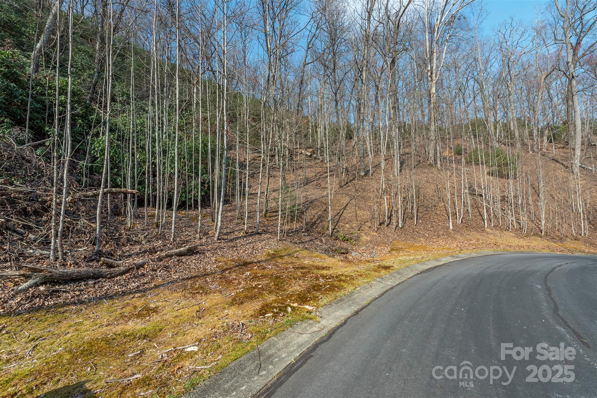 0 Shining Rock Path 12 Property Photo