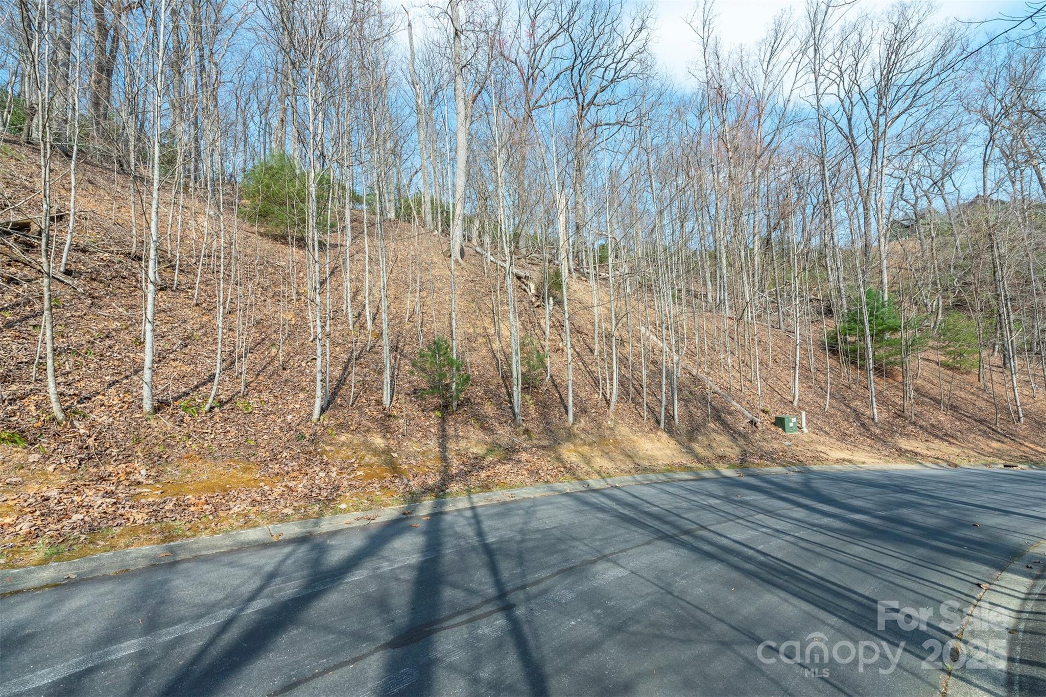 0 Shining Rock Path 12 Property Photo 2