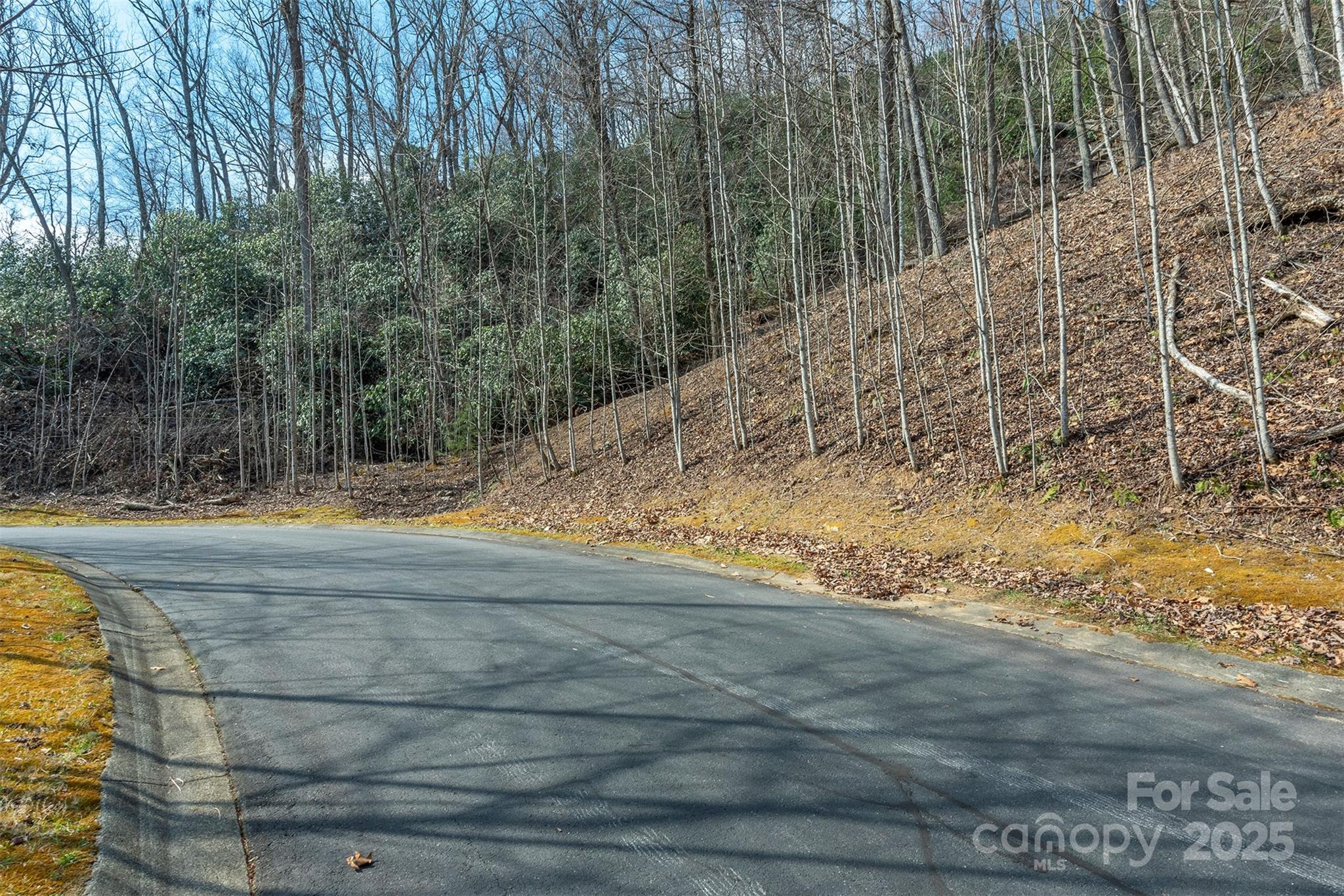 0 Shining Rock Path 12 Property Photo 3