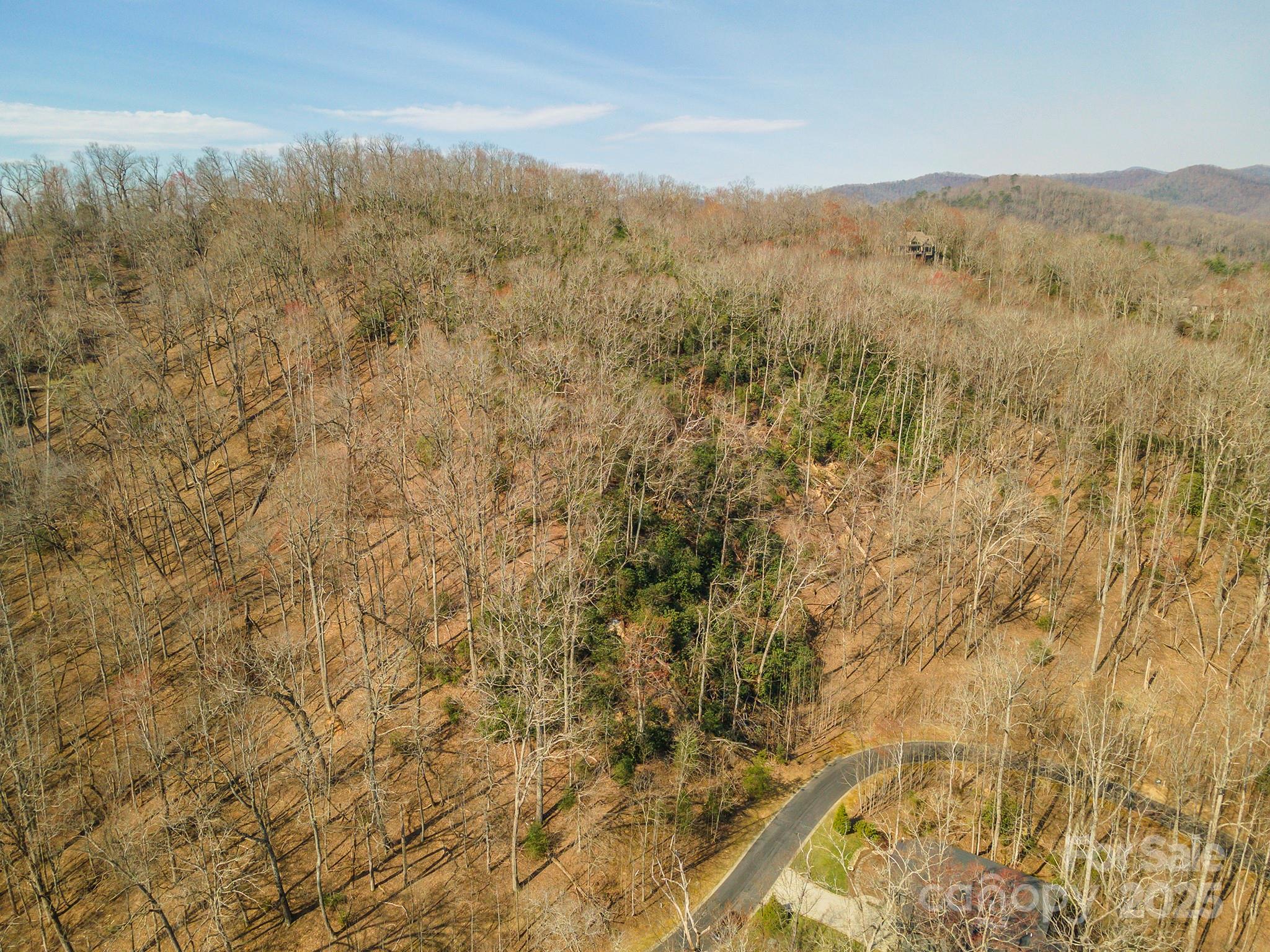 0 Shining Rock Path 12 Property Photo 6